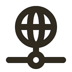 A black icon of a globe connected to a network or node.