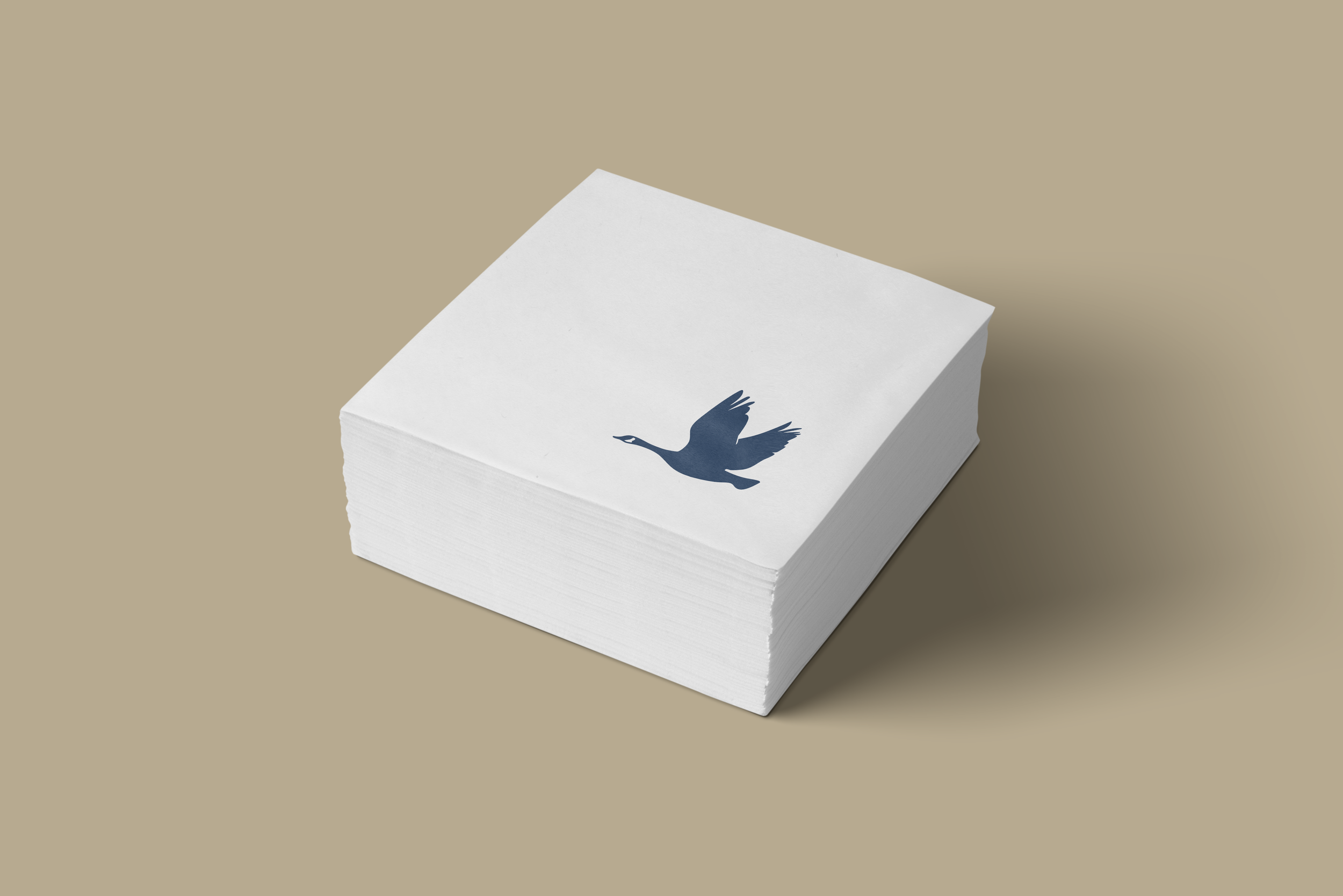 Paper Napkins Mockup.png