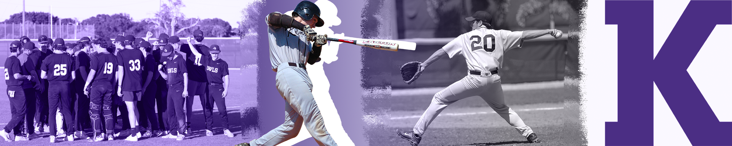 Baseball_Banner_WIP  copy.png