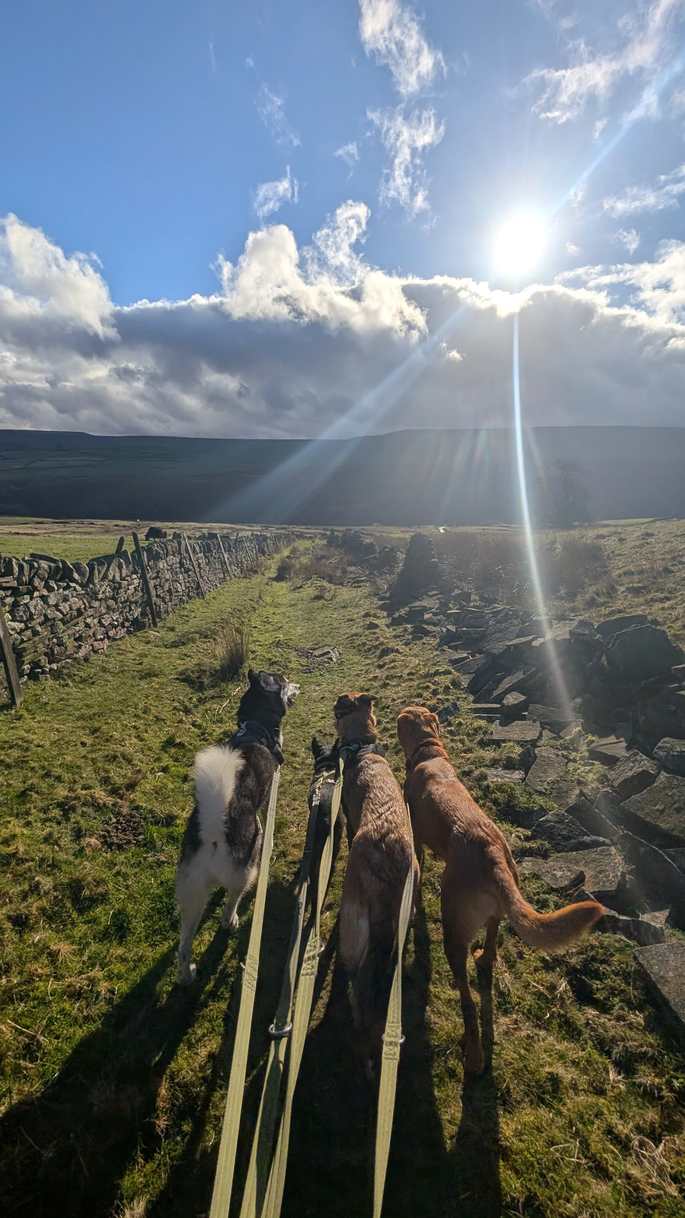 Adventure Walks