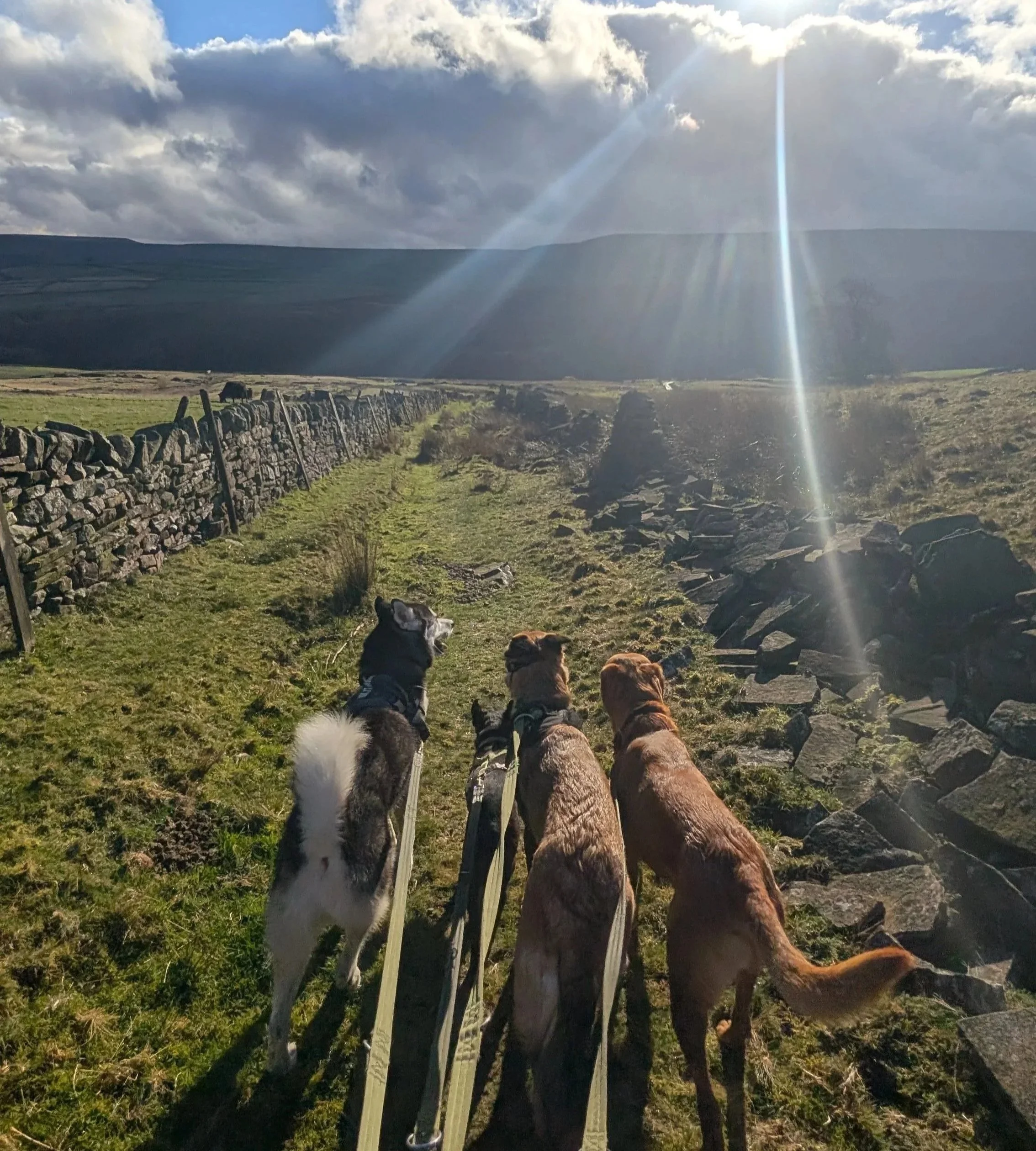 Adventure Walks