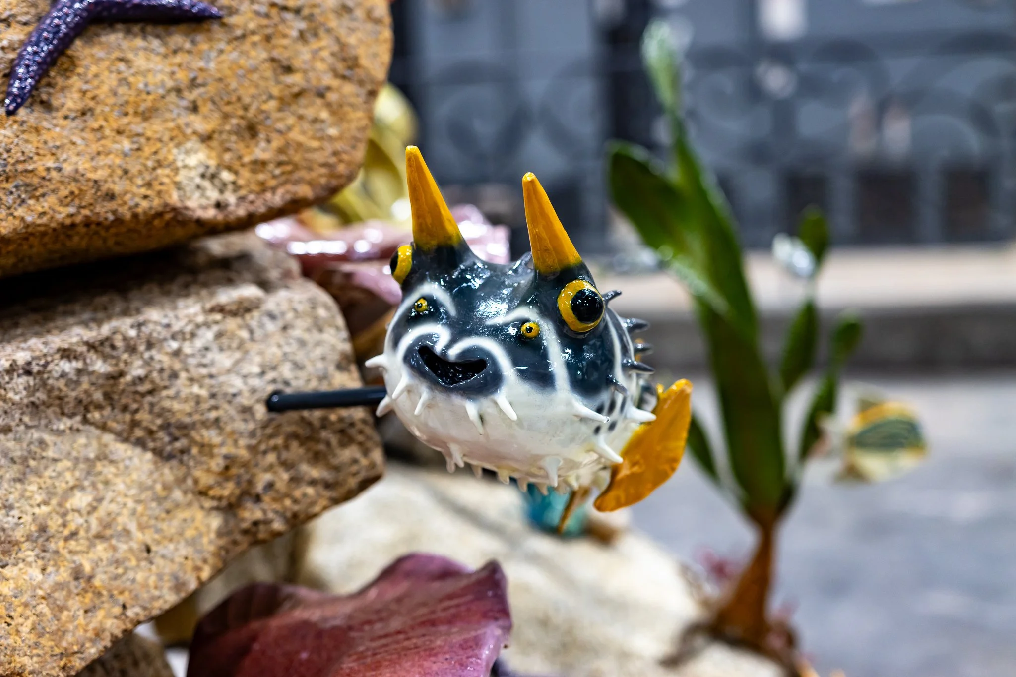 Medium-4986.jpg (Copy)