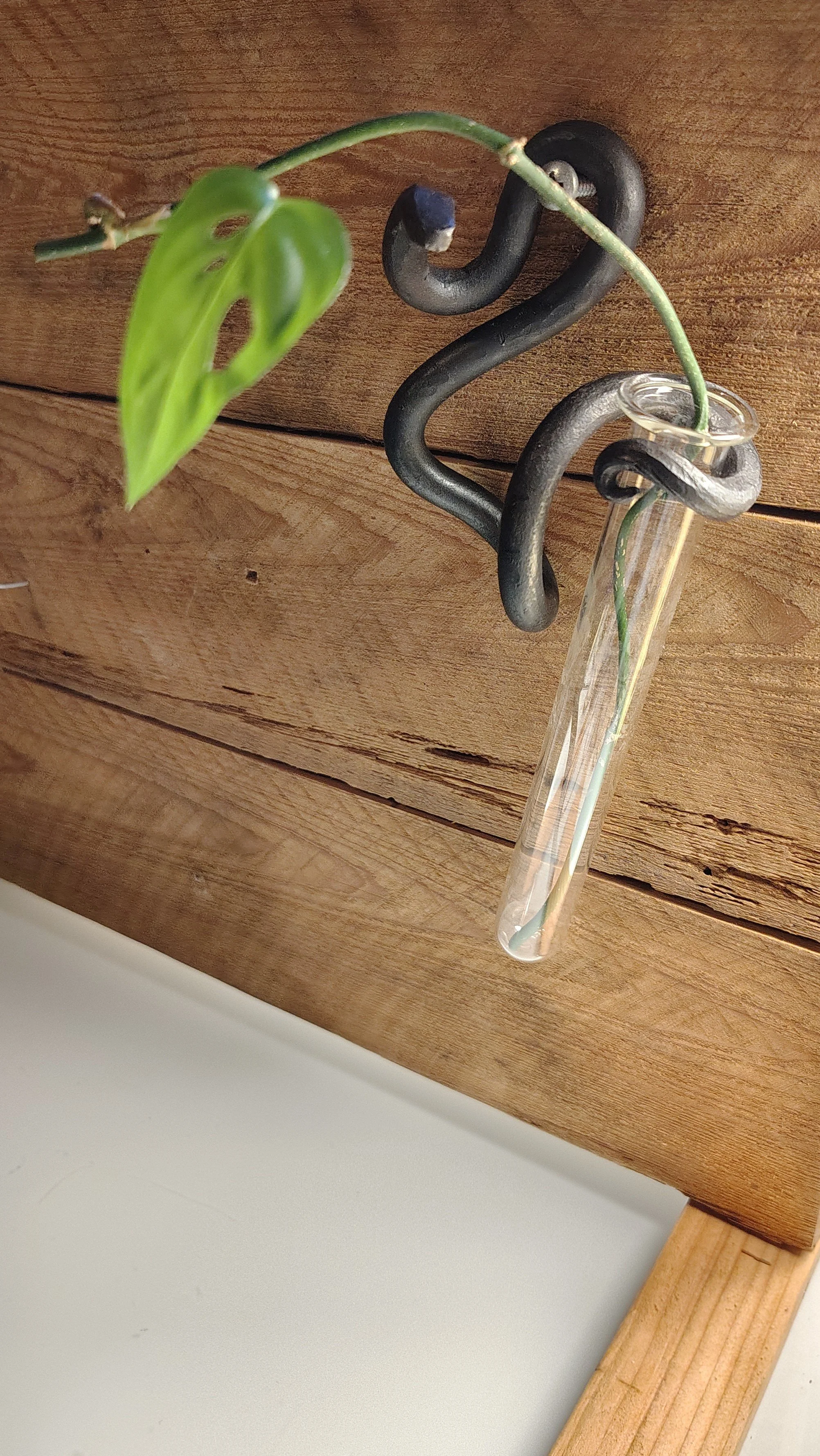 Snake Propagation Station