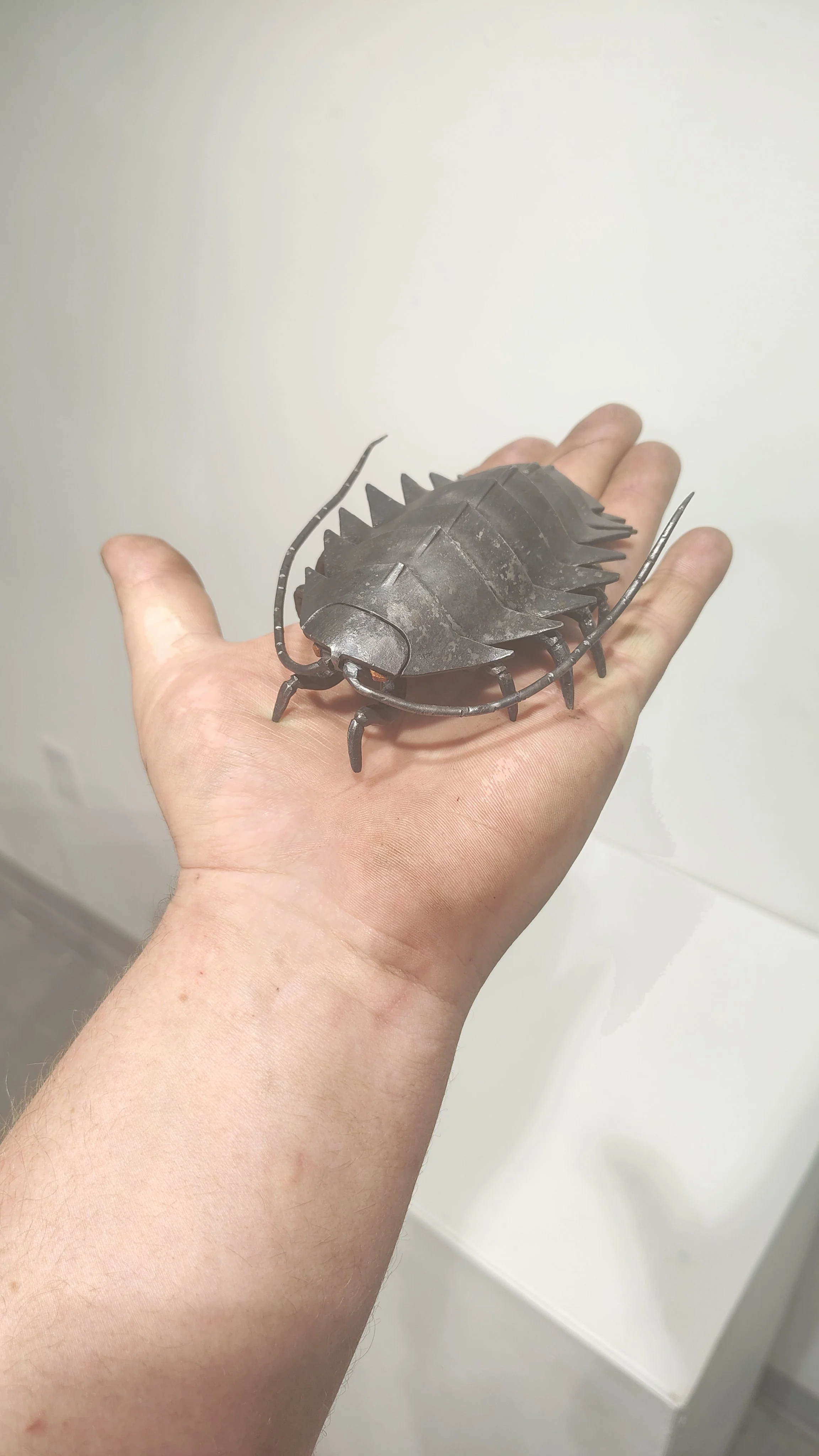 Hand Forged Isopod