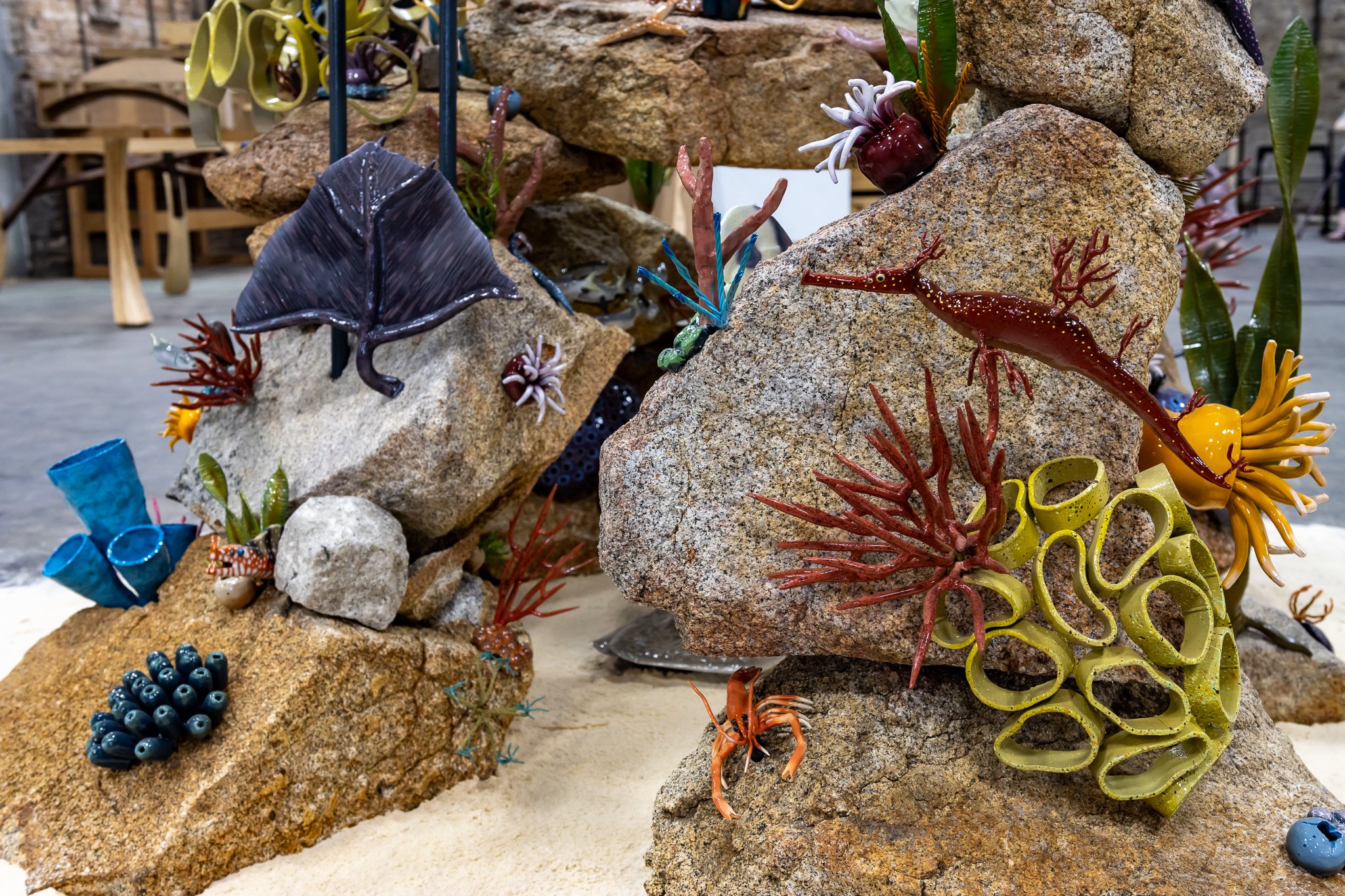 Medium-4980.jpg (Copy)