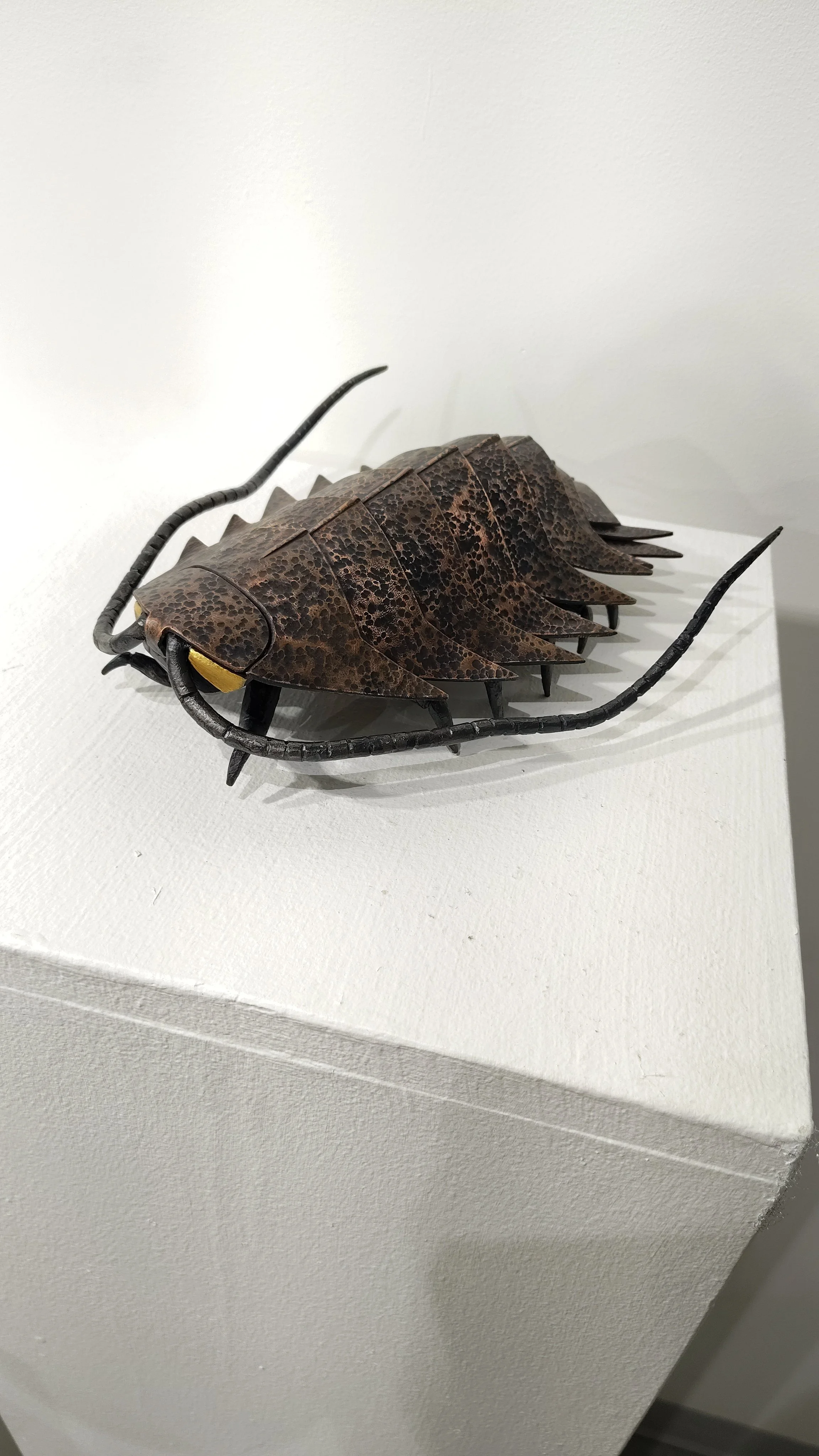 IMG_20260129_073737098.jpg (Copy)