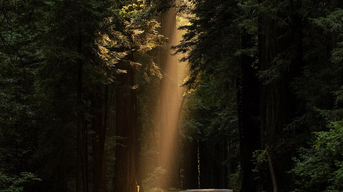 Should You Trust It Will Be Good When Everything Looks Bad?