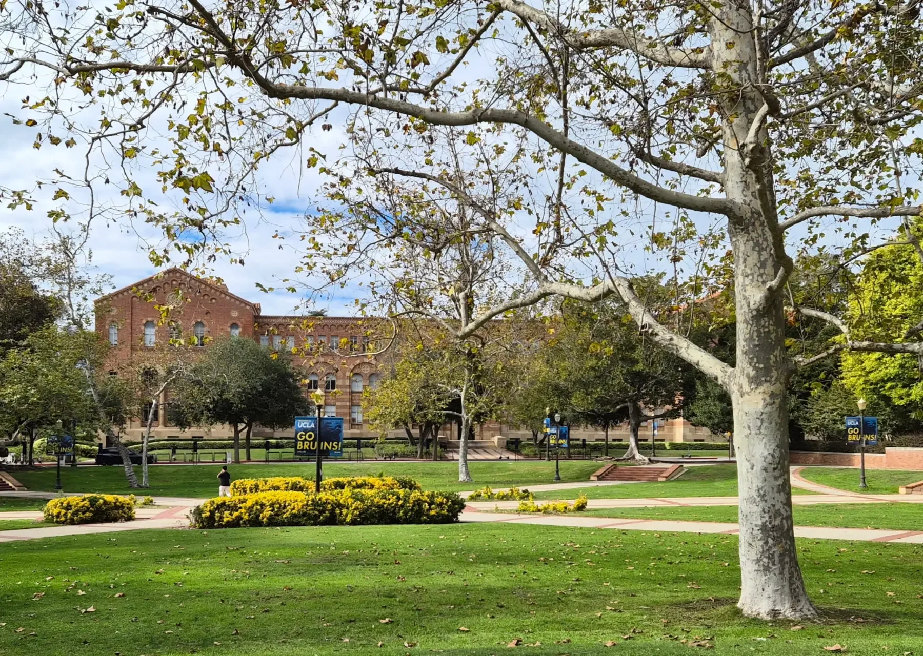 Is the UC System Bringing Back the SAT or ACT and What Does That Mean For You?