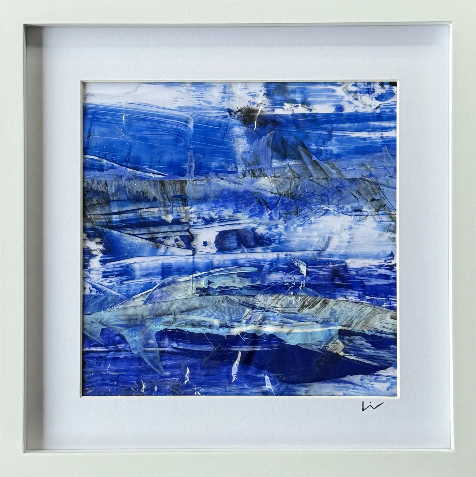 Wild Blue