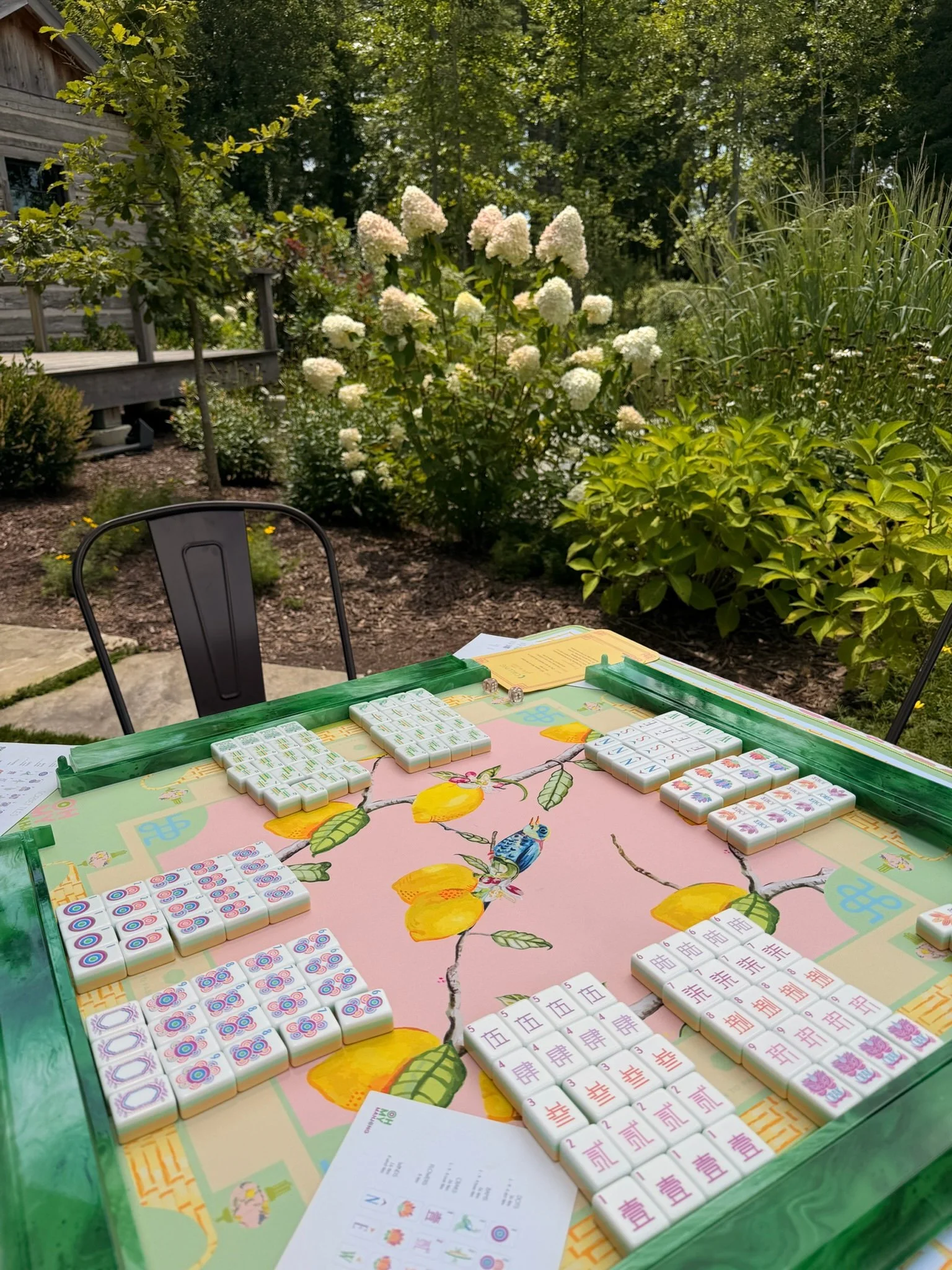 Oh My Mahjong setup in Cashiers, NC