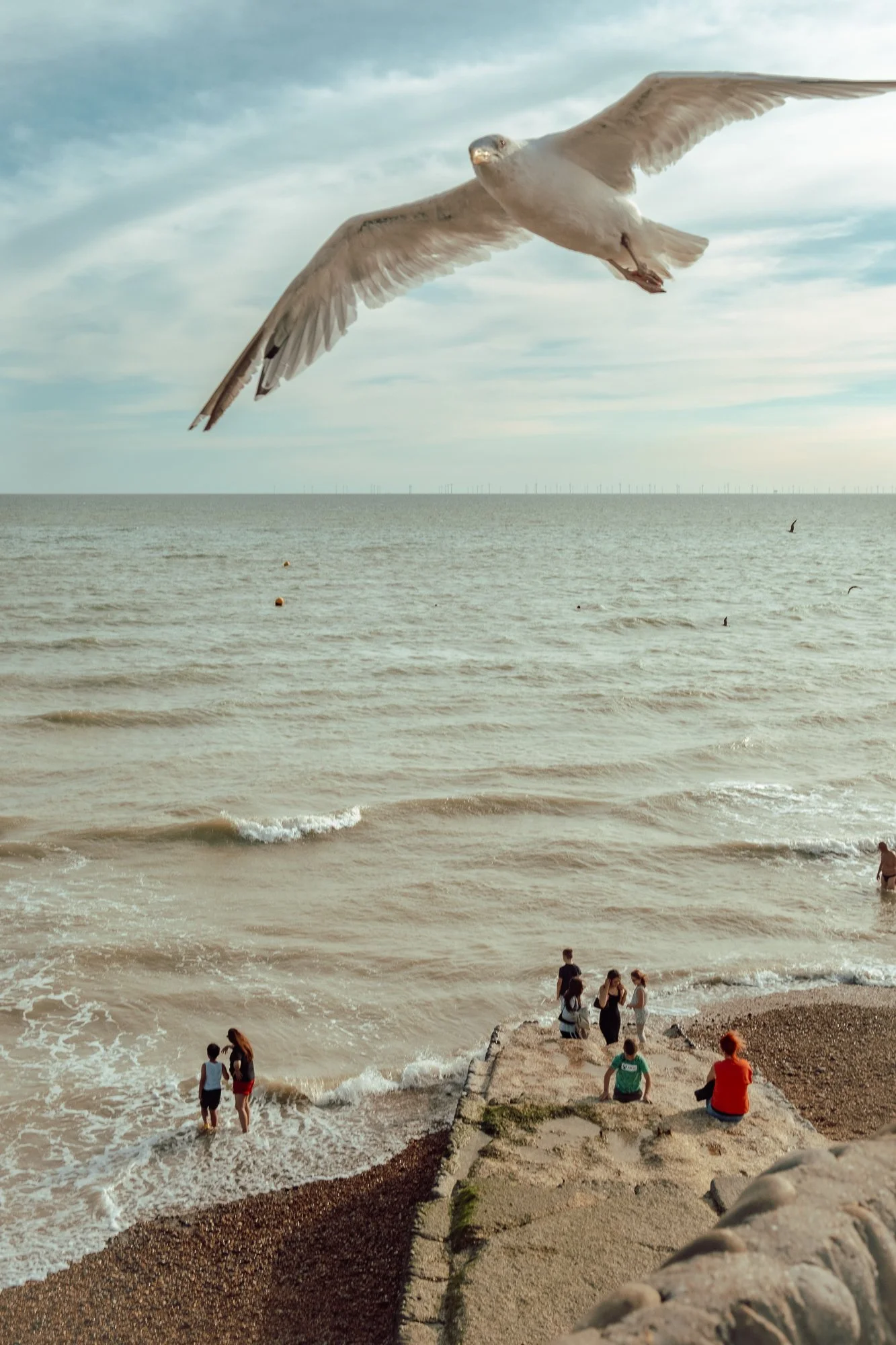 DSCF4279.jpg