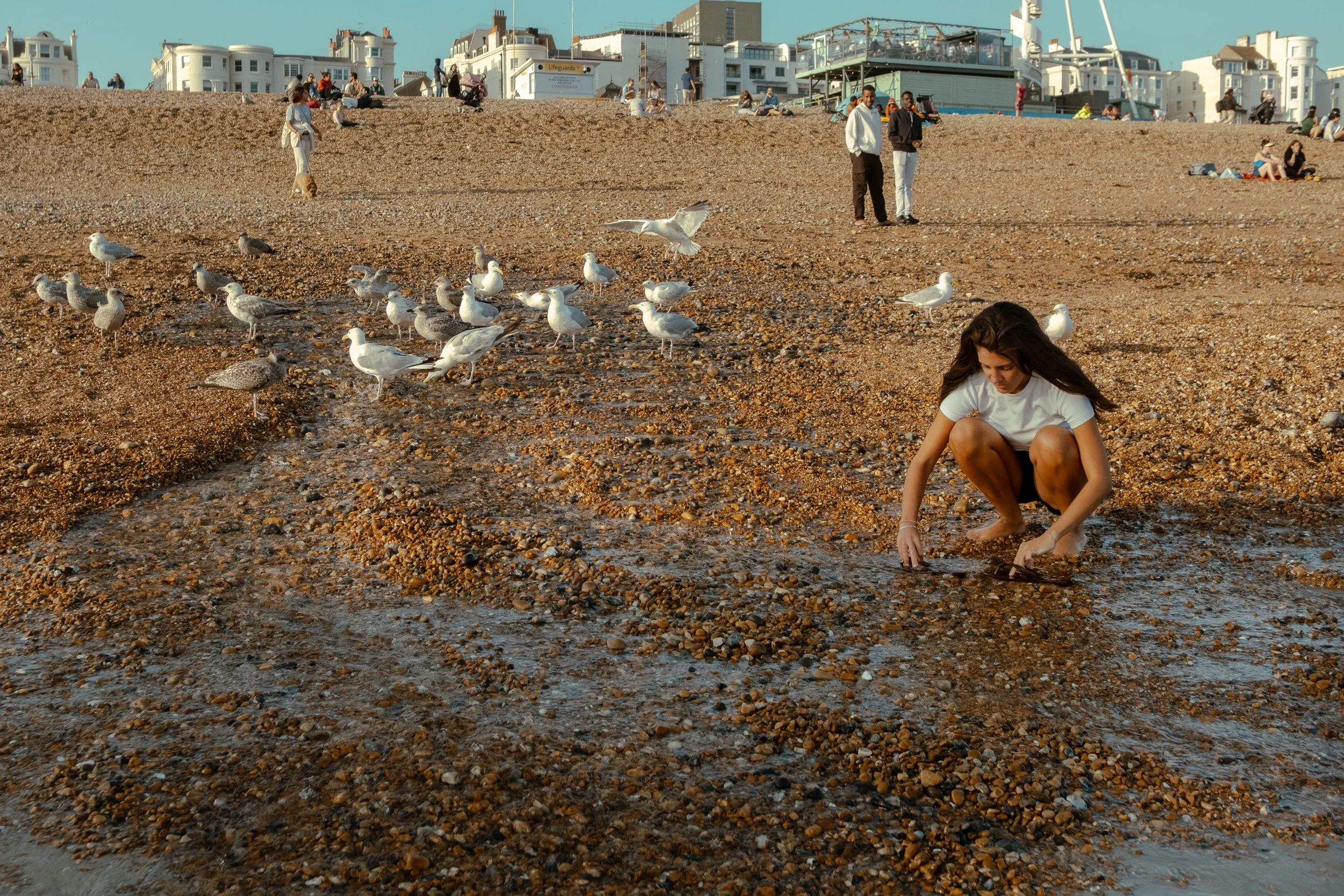 DSCF2834.jpg