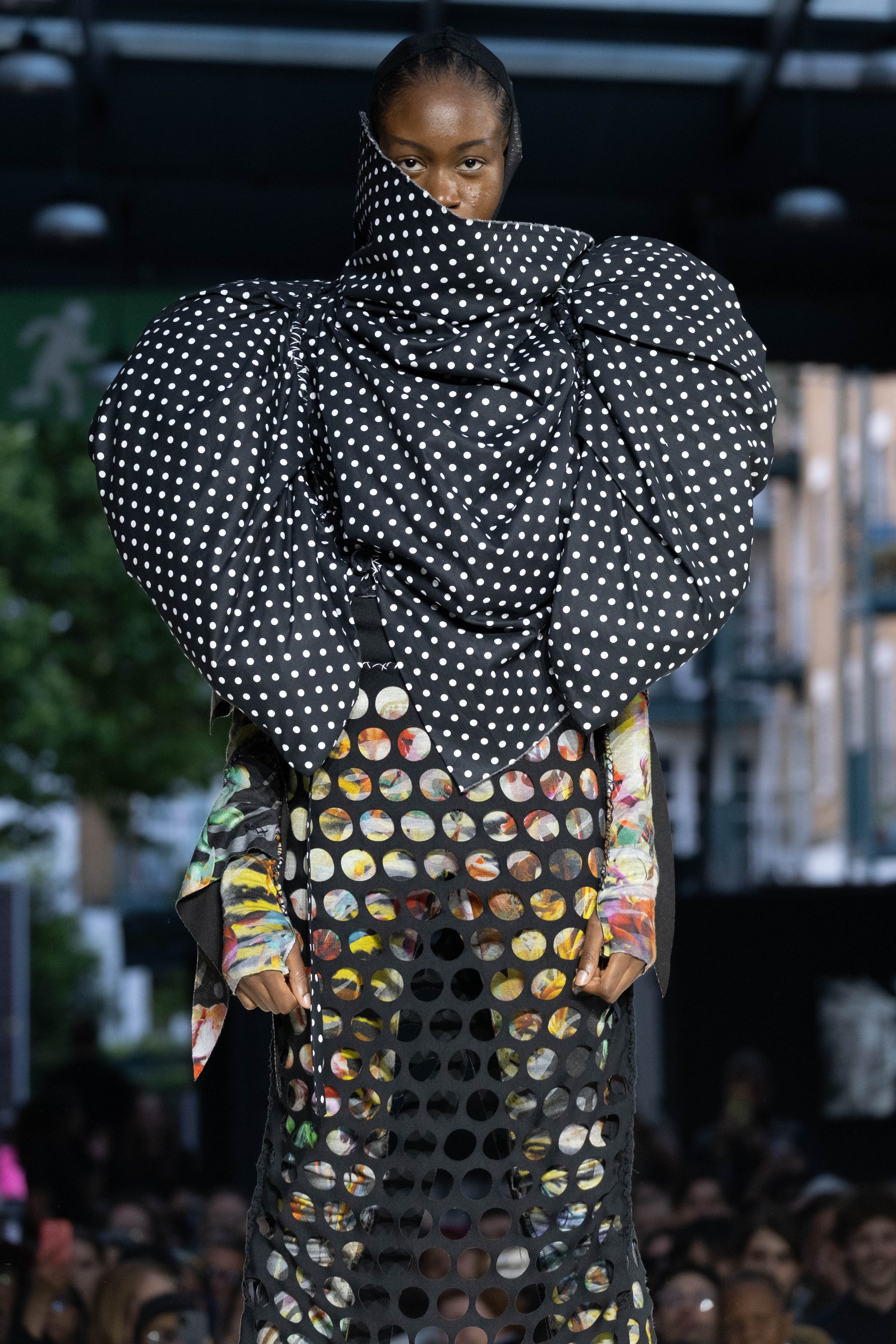 DSCF7960.jpg