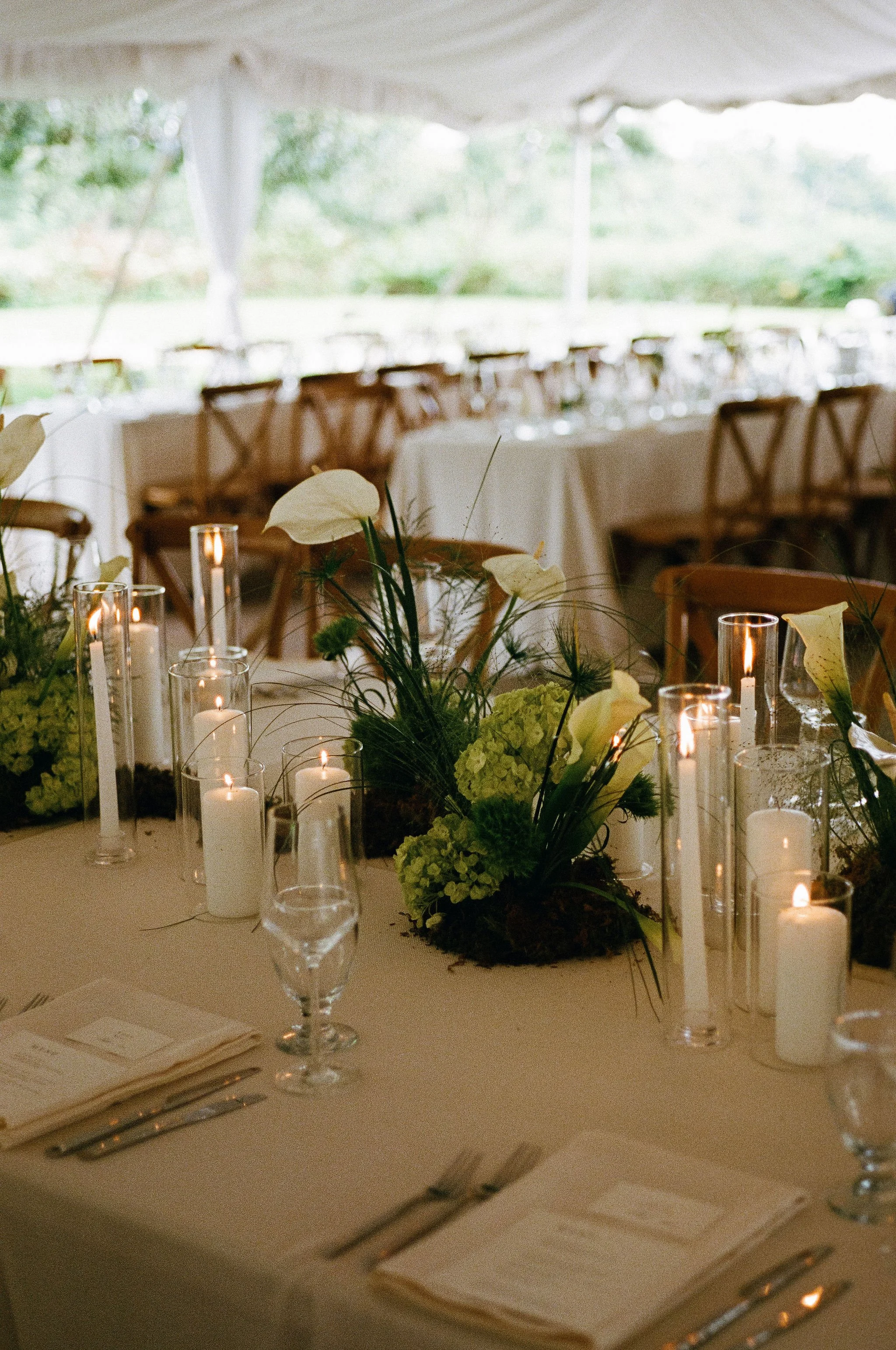 JB-000129250005 (1).jpg