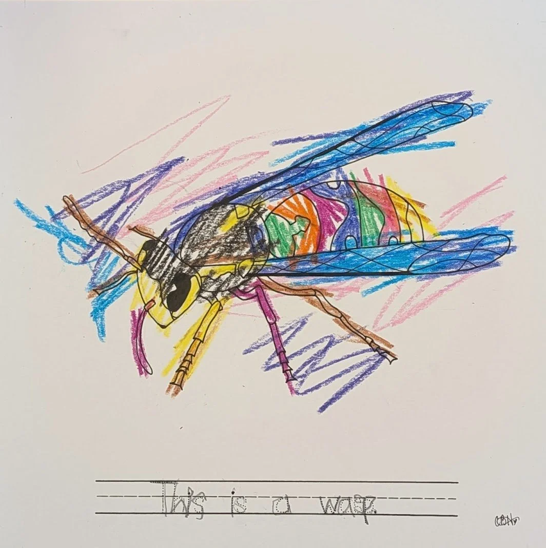 This is a Wasp (2), 2025