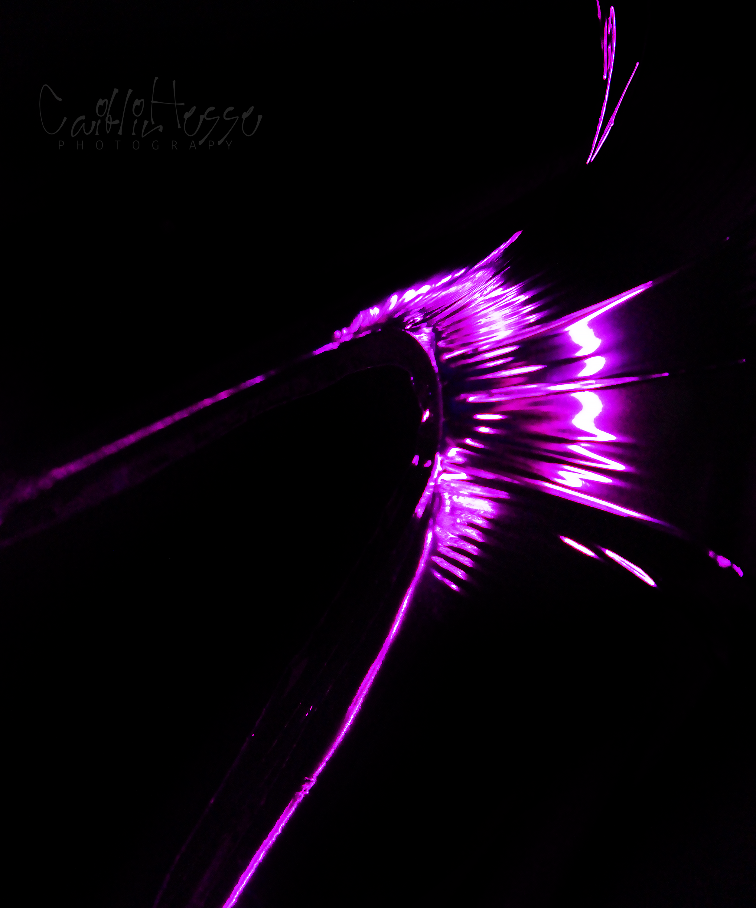 Balloon (Magenta), 2025