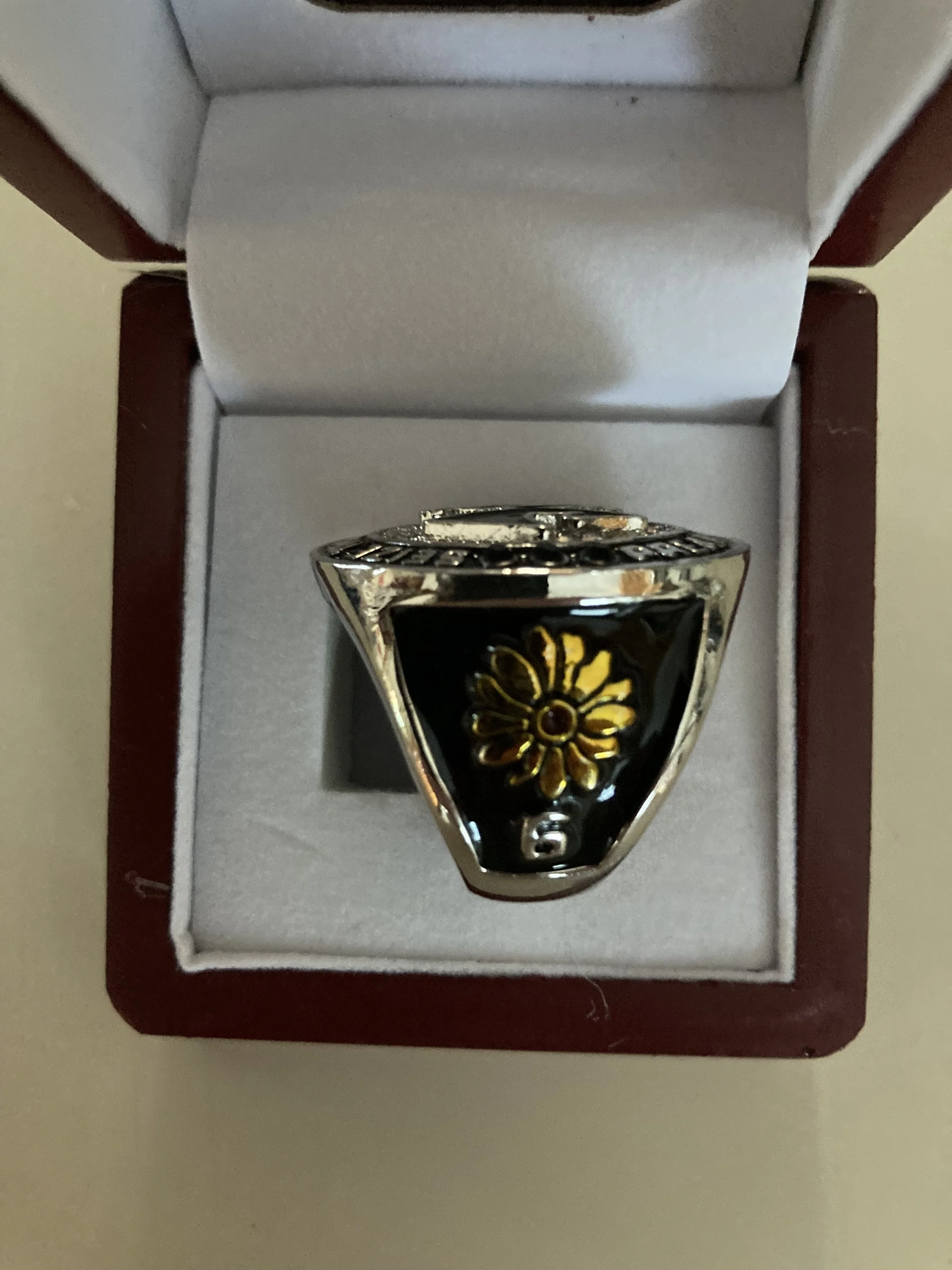 STG ring side #2.jpg