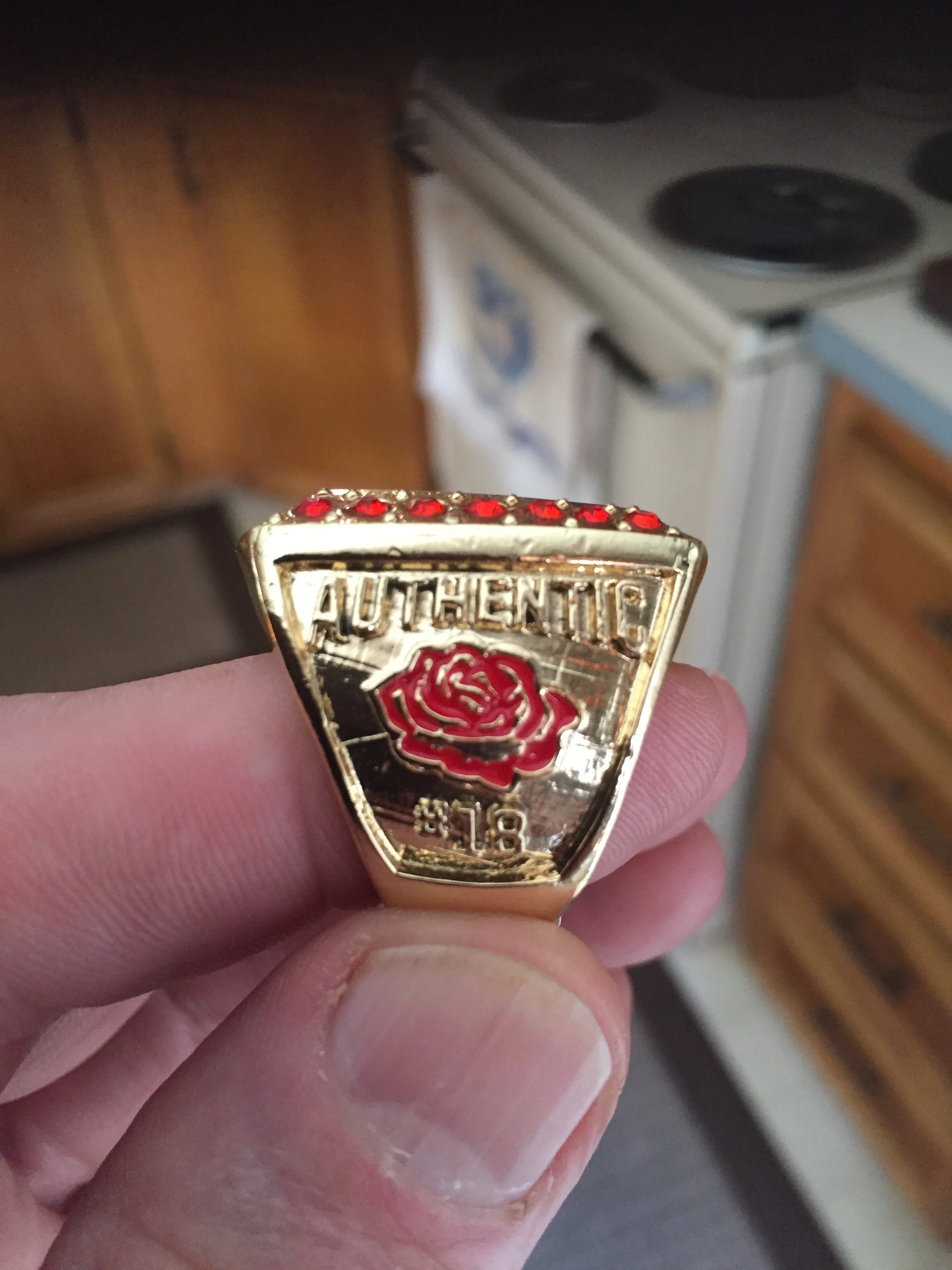 AUTHENTIC in hand pic side 18.JPG