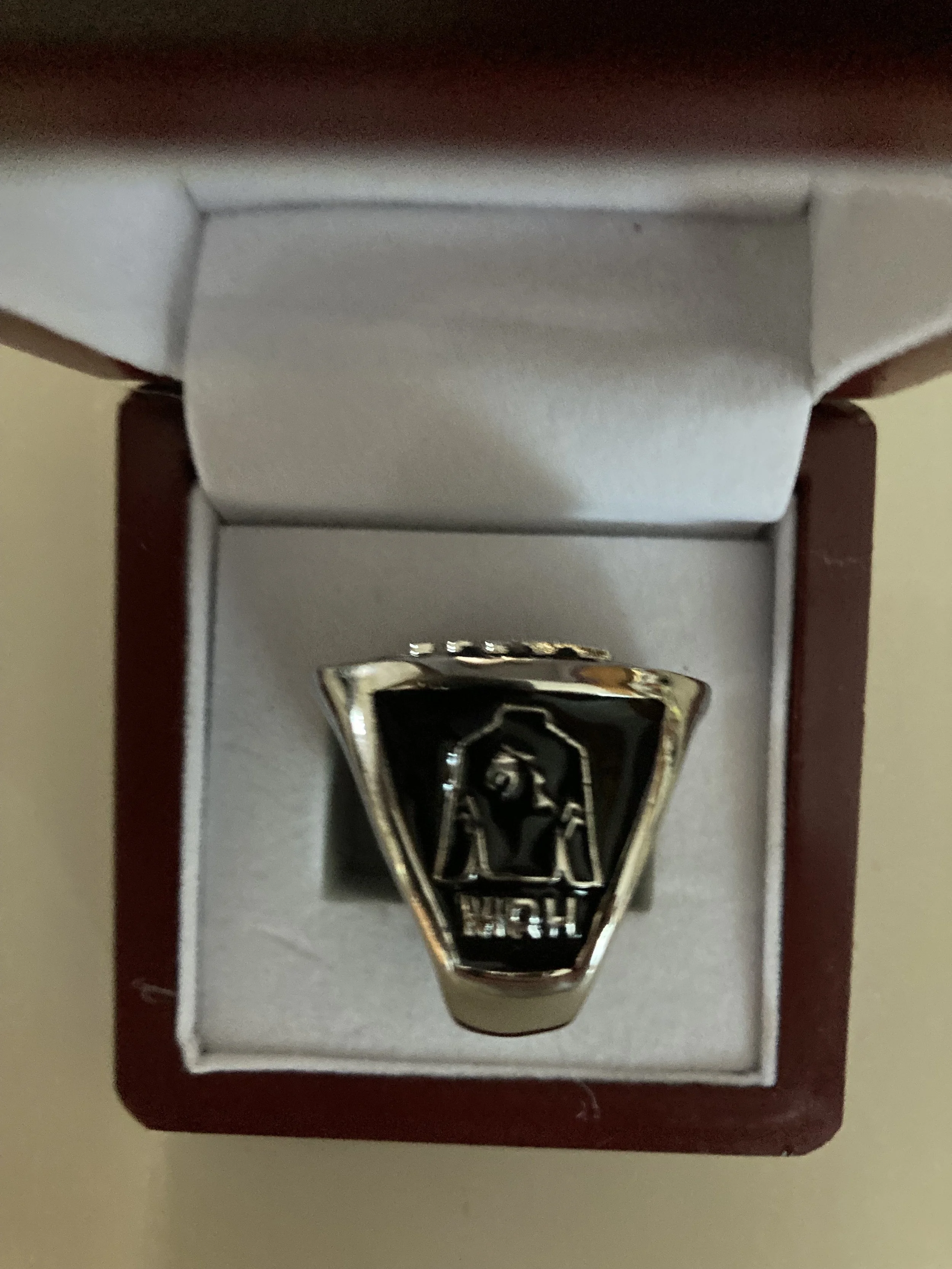 STG ring side #1.jpg