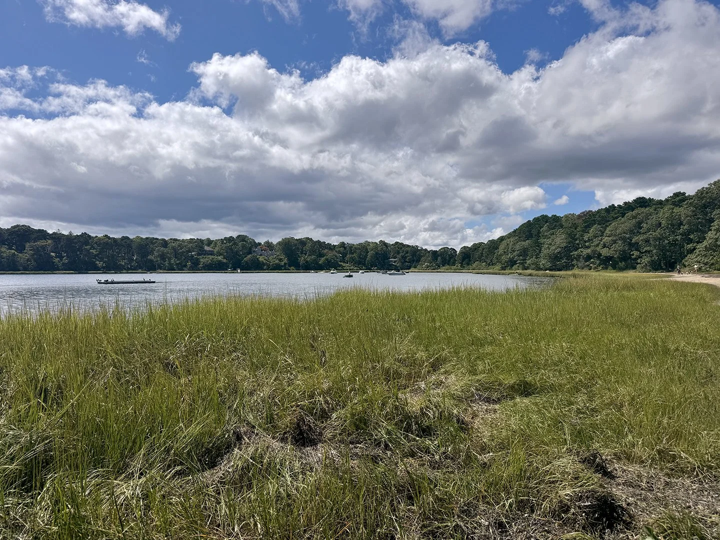 A peaceful lakeside scene with green grass in the foreground, a calm lake with small boats, dense trees along the shoreline, and partly cloudy sky above.