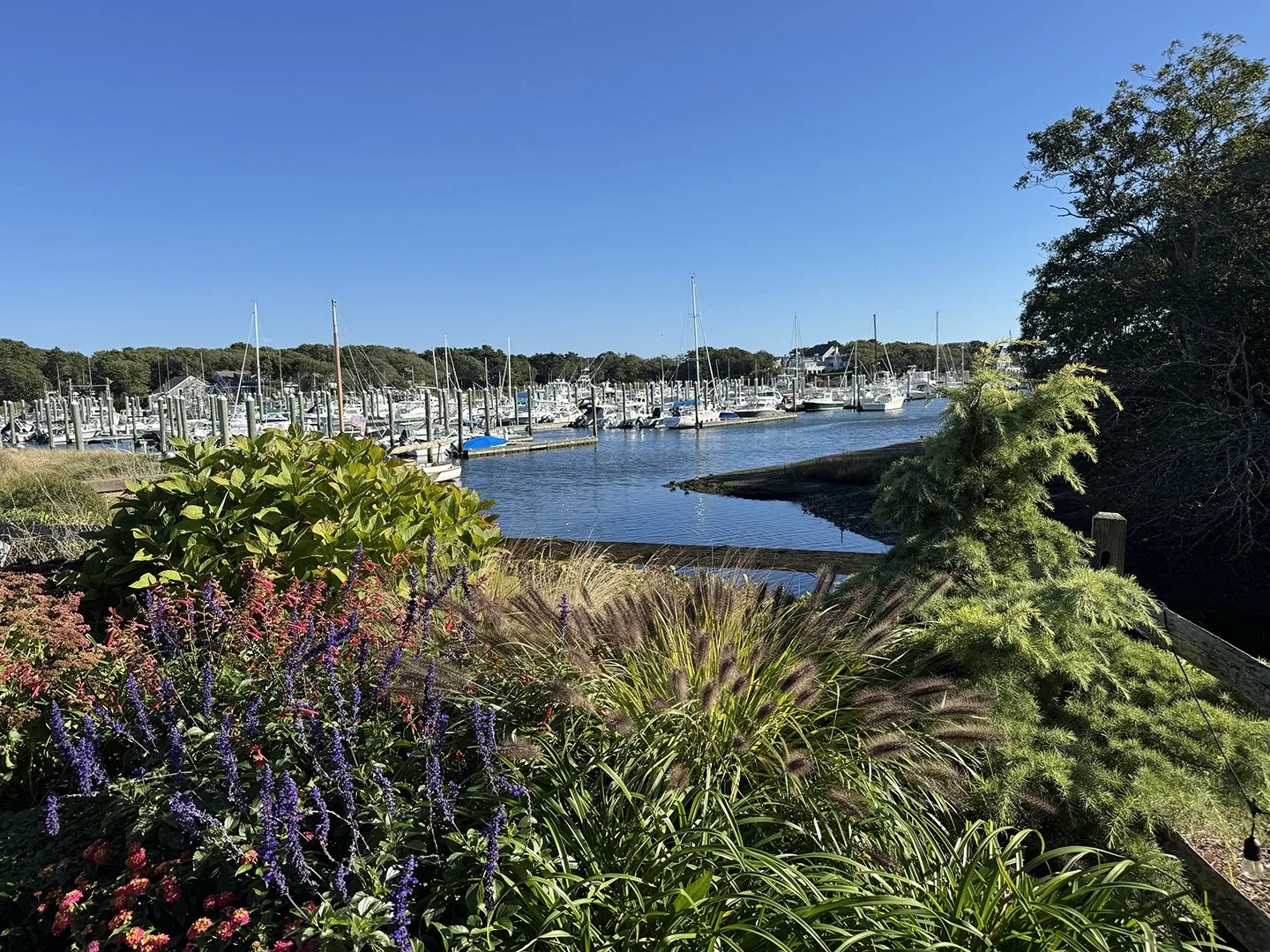 View of a marina with boats docked in calm water, surrounded by lush greenery and colorful plants under a clear blue sky.