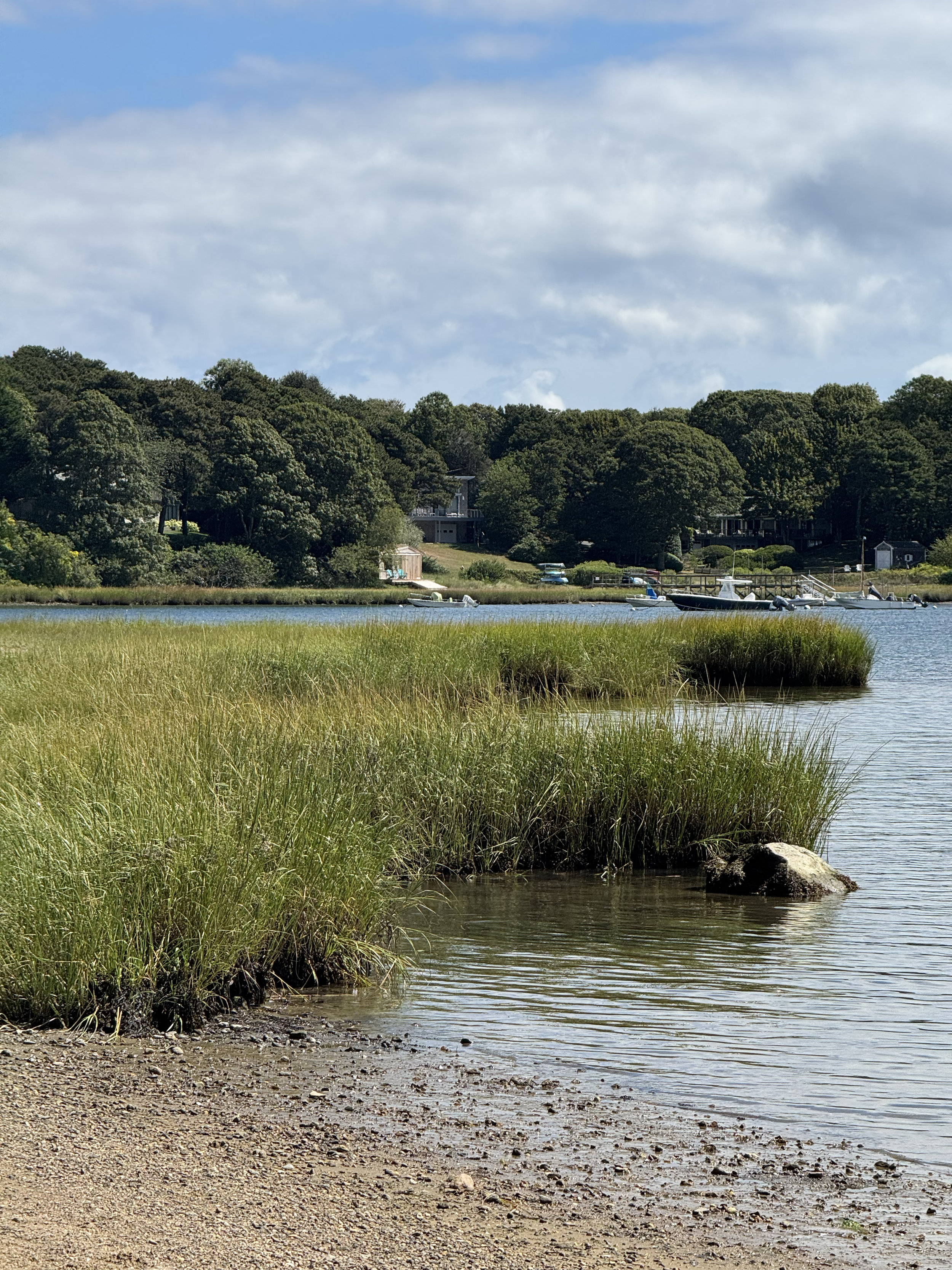 A scenic view of a grassy shoreline with calm waters, boats docked in the distance, lush green trees, and a partly cloudy sky.