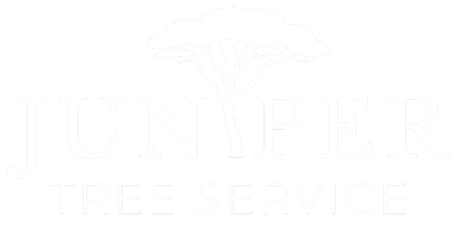 Juniper Tree Service