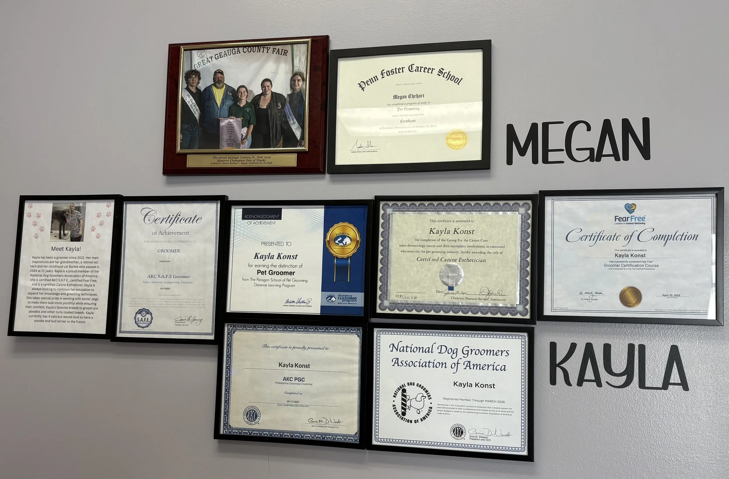 Wall display of certificates and awards, featuring a large photo at the top left of five people at the Great Geauga County Fair, and large black letters spelling 'MEGAN' and 'KAYLA' on the right side.