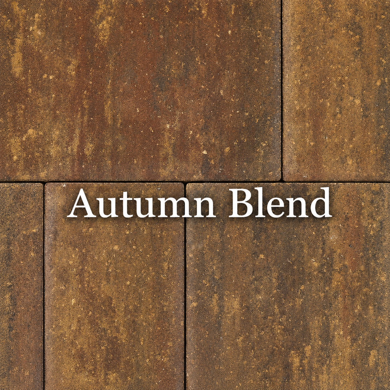 91B82F17-4739-4D49-A6EE-E7444316A7F1.PNG