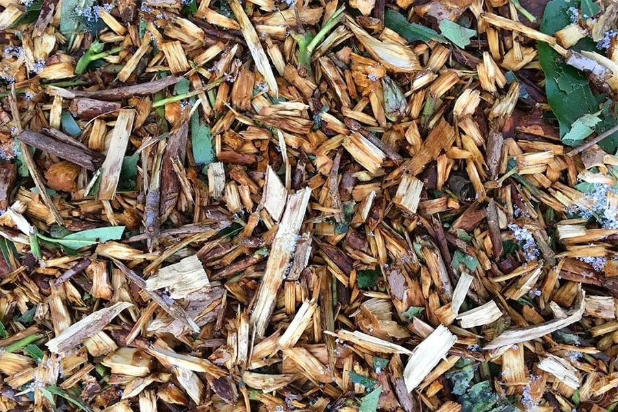 Chipper Wood Chips