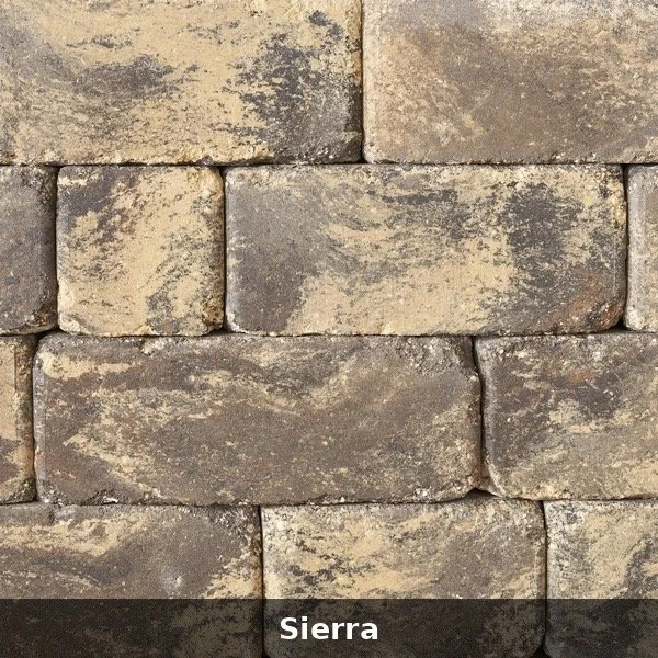 Image 38.jpeg