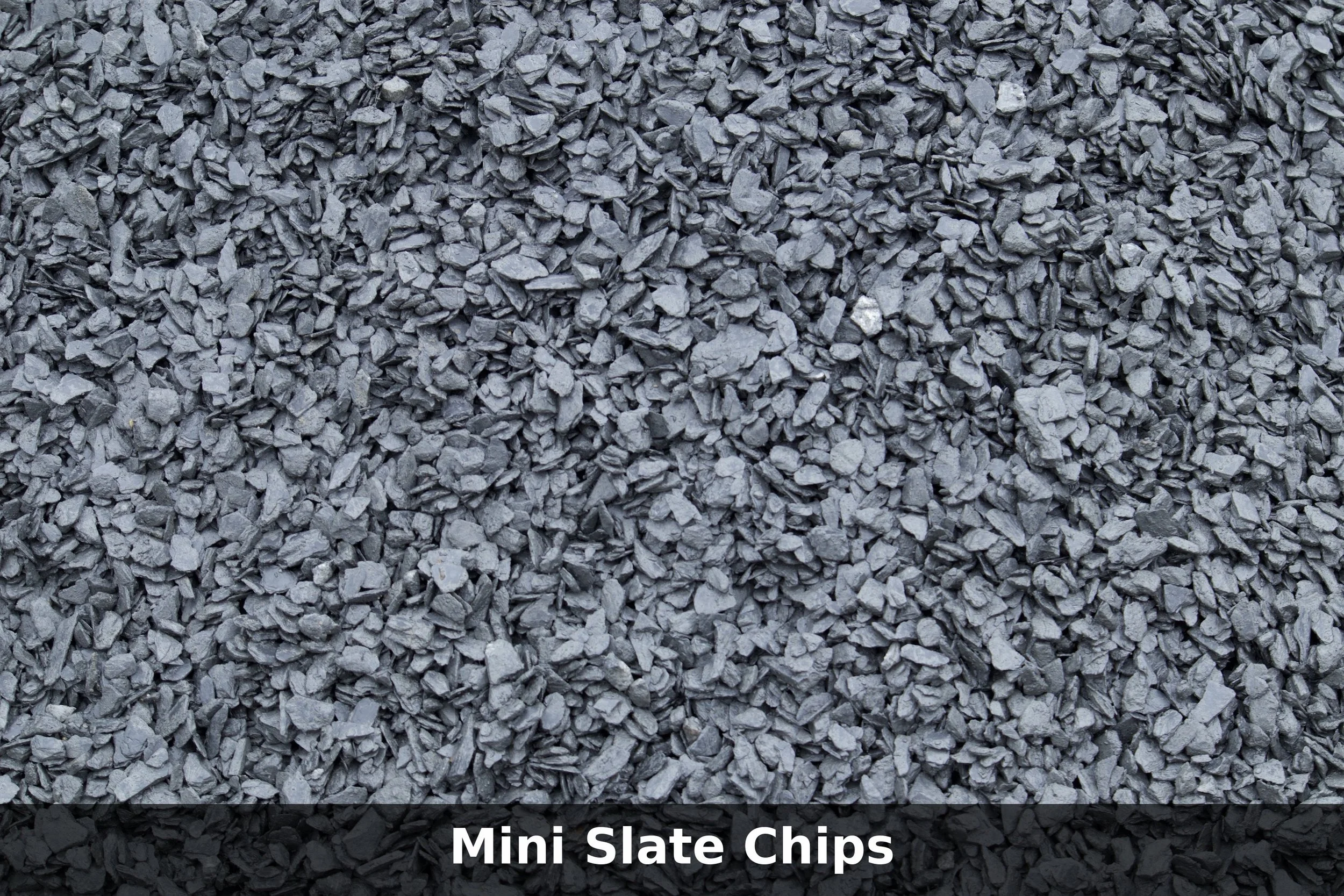 Mini Slate Chips