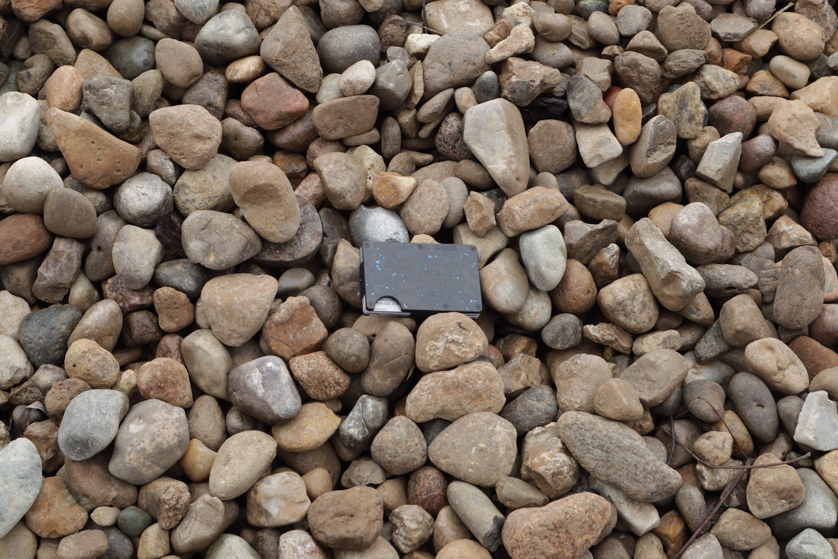 No. 4 Indian Egg Rock