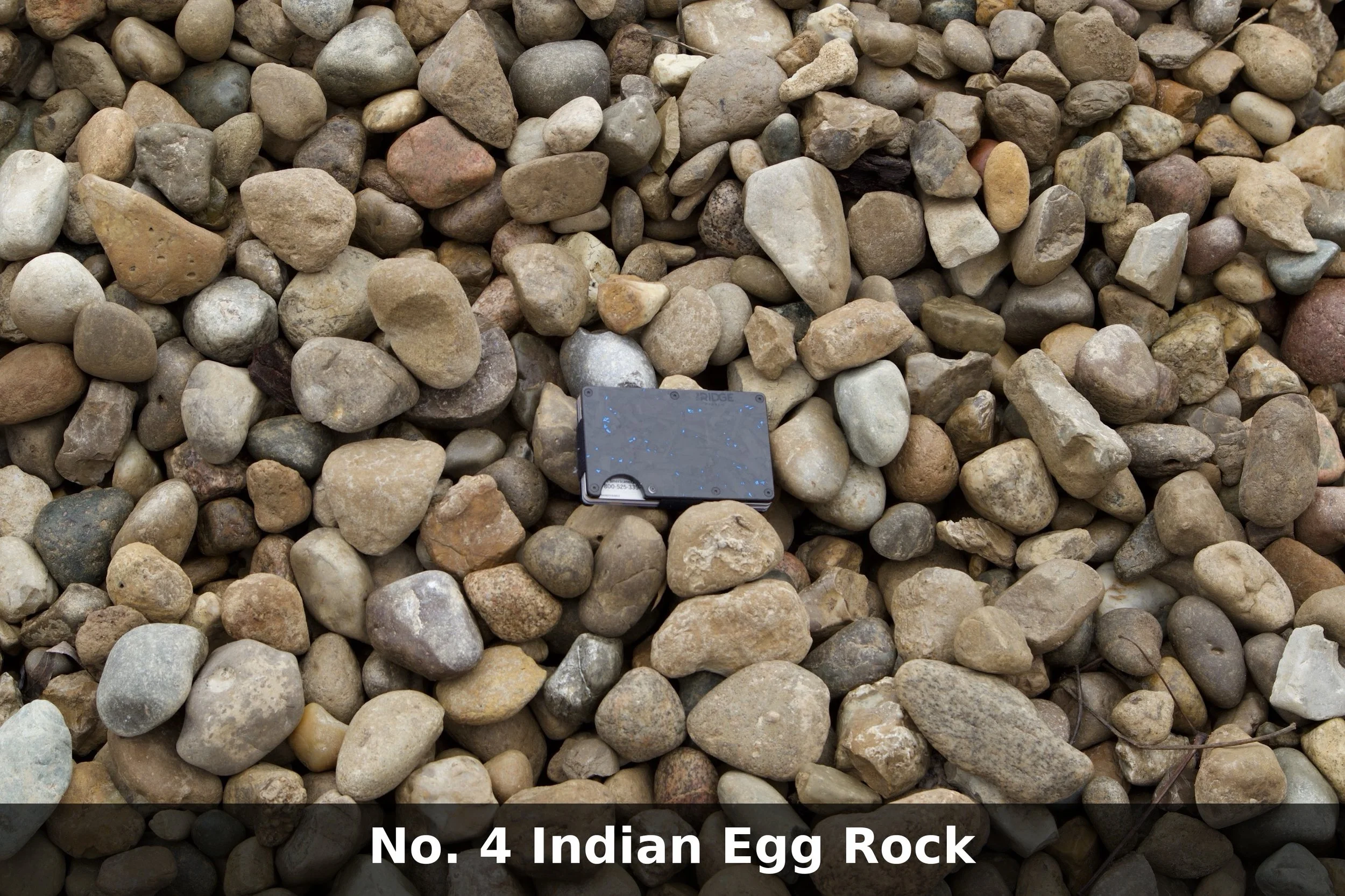 No. 4 Indian Egg Rock