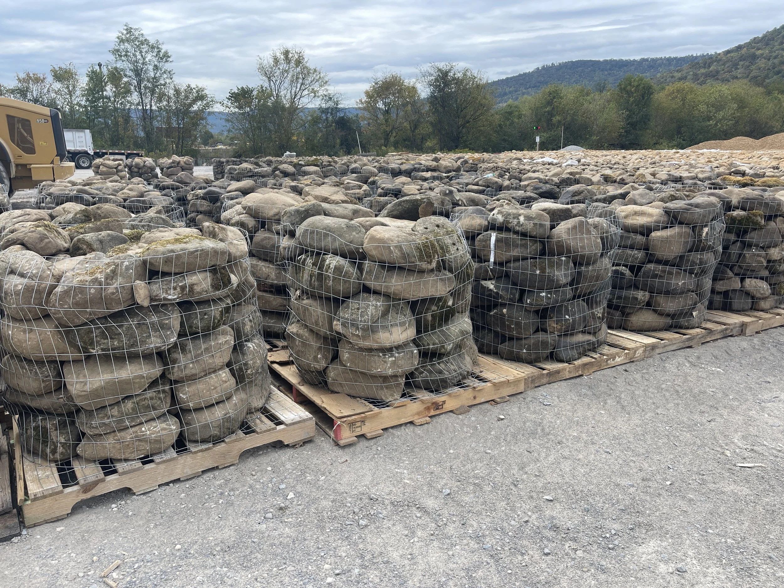 Ten. Weathered Large River Rock (Special Order)