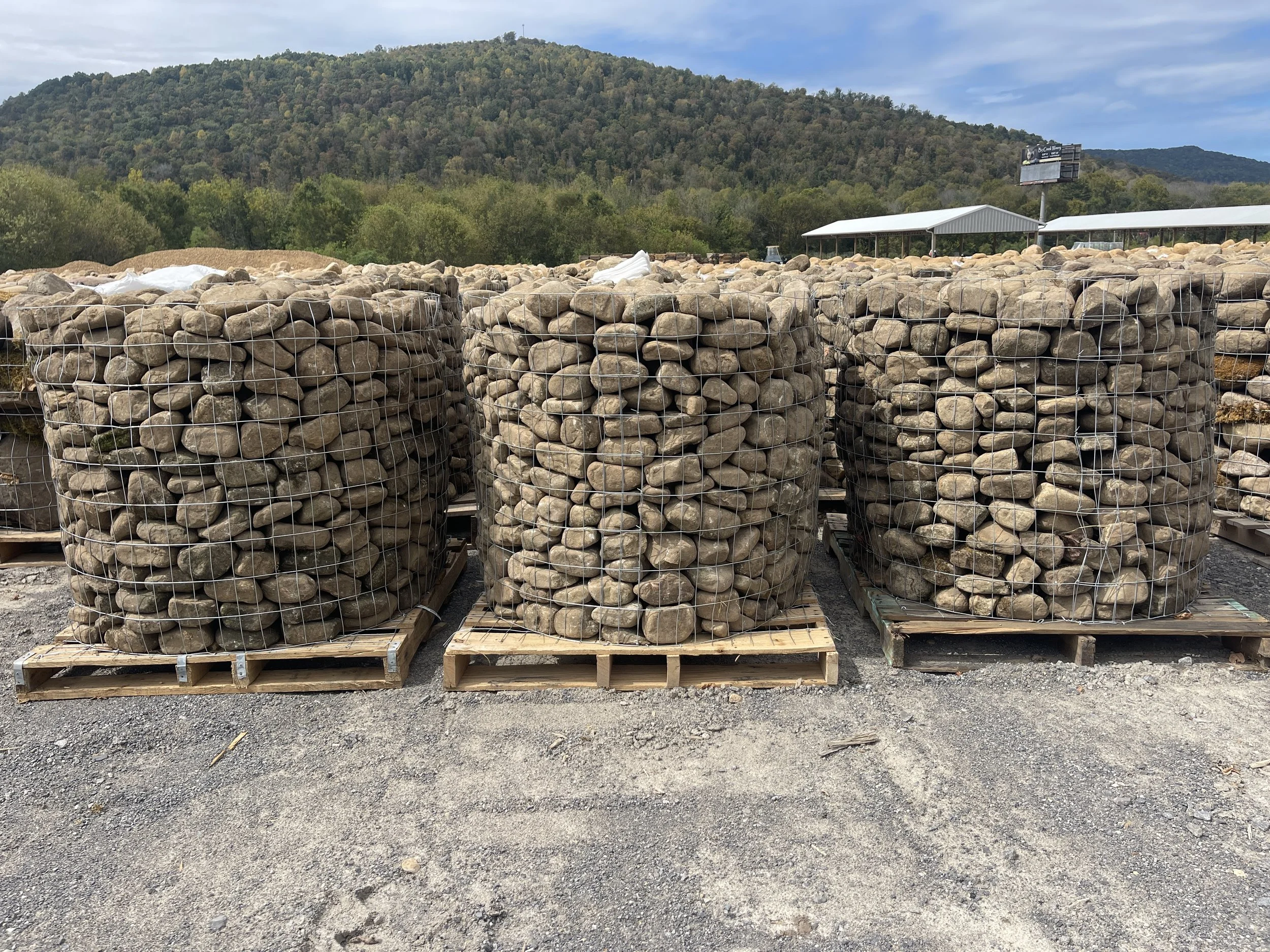 Ten. Weathered Small River Rock (Special Order)