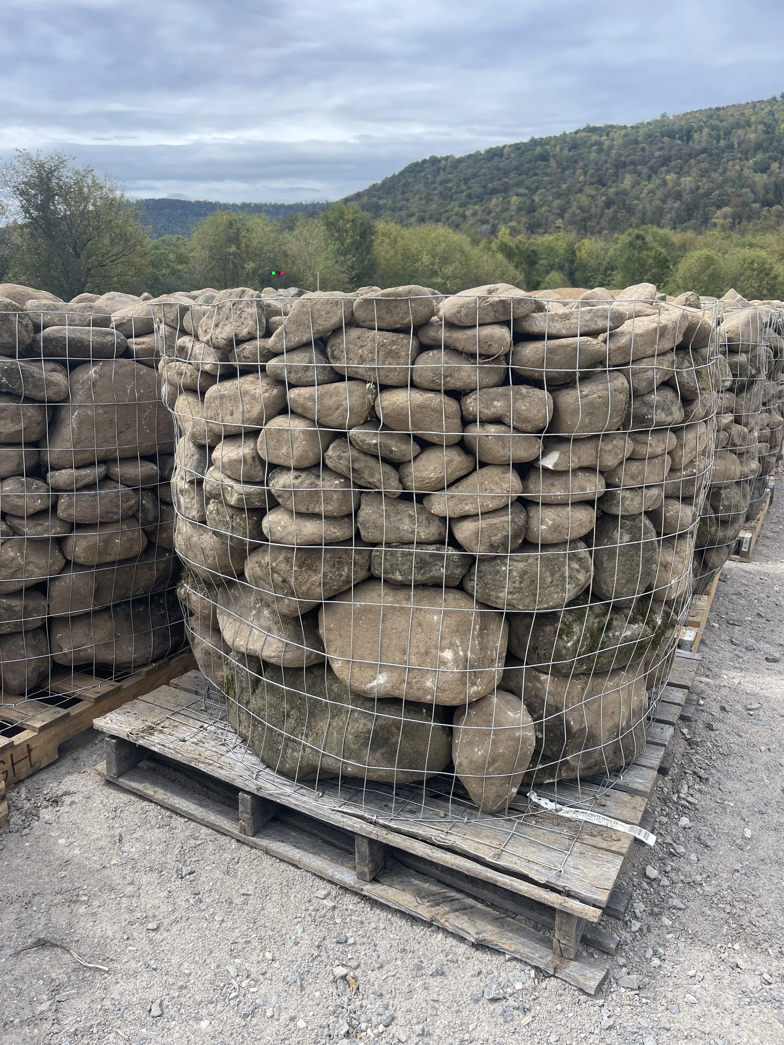 Ten. Weathered Pond Mix (Special Order)