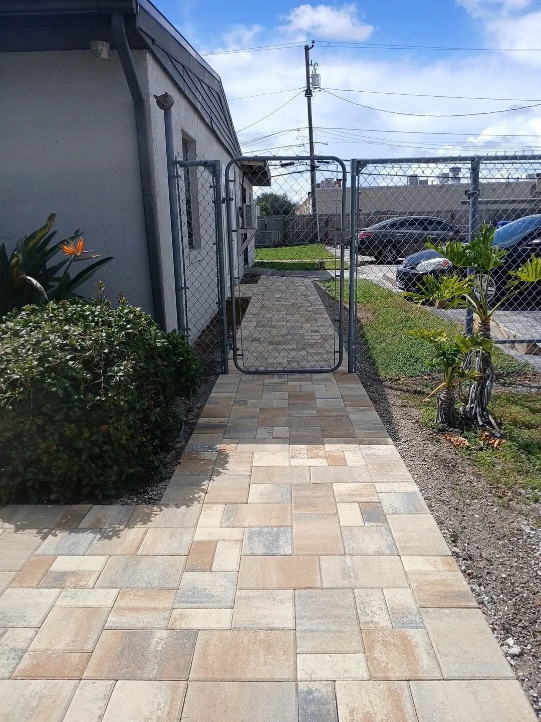 Image 54.jpeg