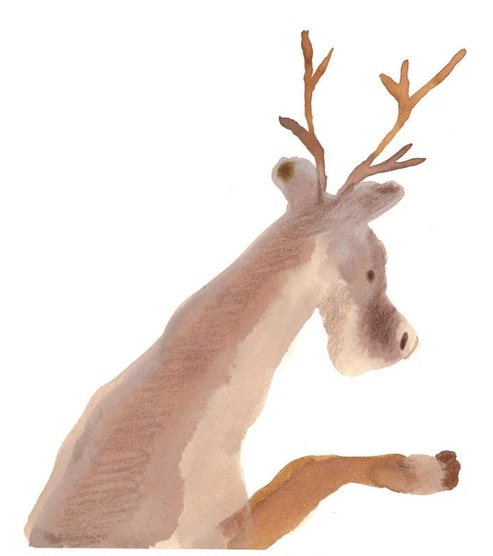 KaoruT_RAINDEER.jpg