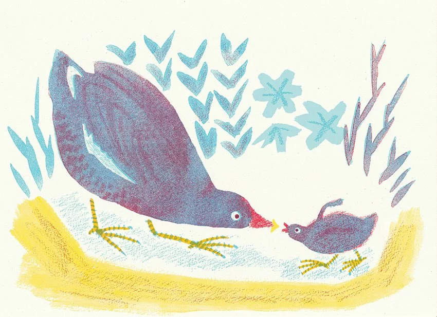 KaoruT_Botanic_Birds2.jpg