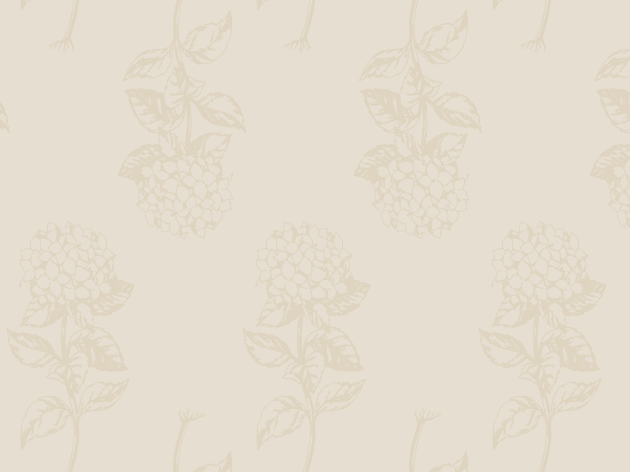 Brand Texture Library:
A repeatable visual system used to unify guest materials and interior touchpoints.