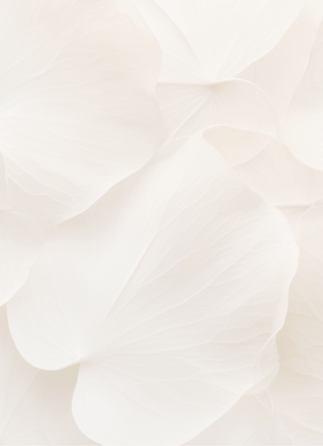 Close-up of beige, overlapping dried leaves with visible veins.