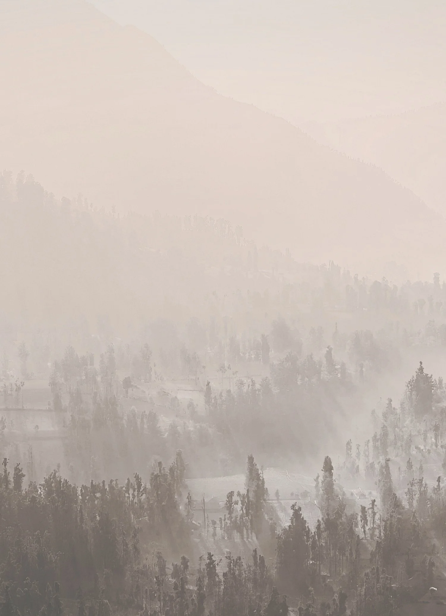A landscape of misty mountains with trees in the foreground.
