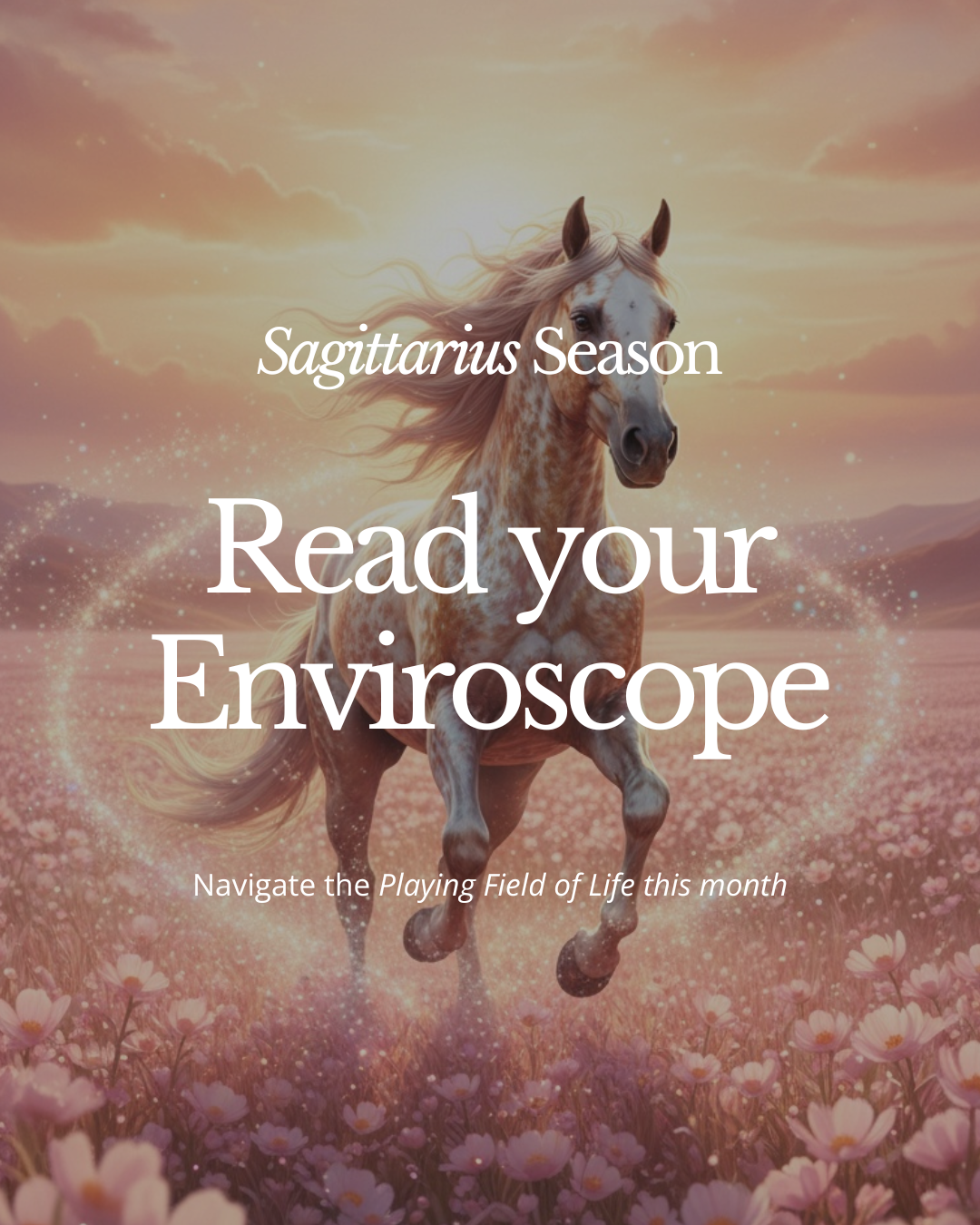 Sagittarius Season 2025 ENVIROSCOPE 