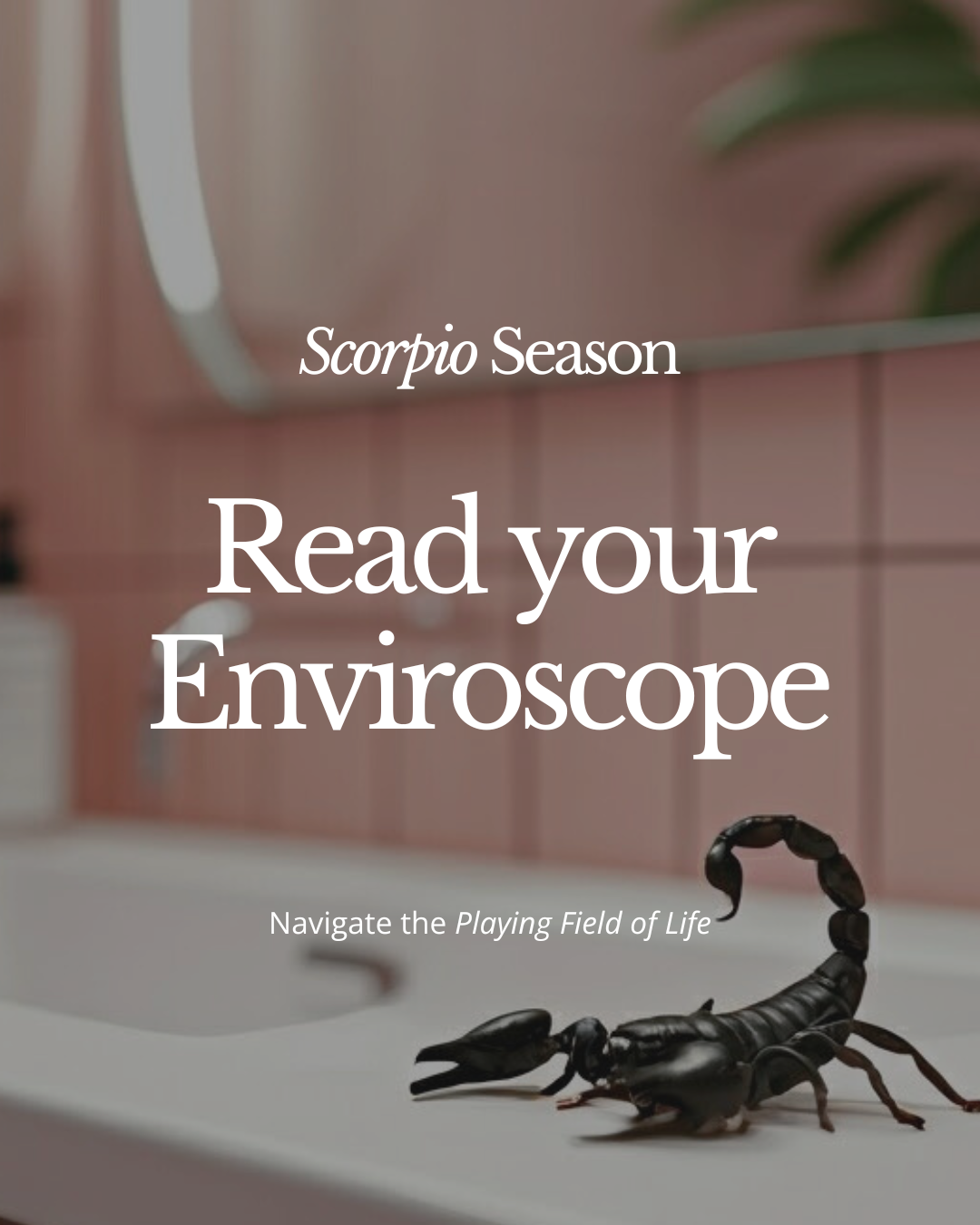 Scorpio Season ENVIROSCOPE