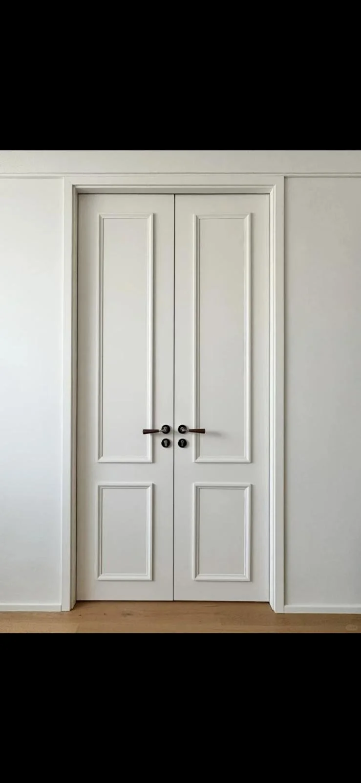 Rasied Panel Molding Door