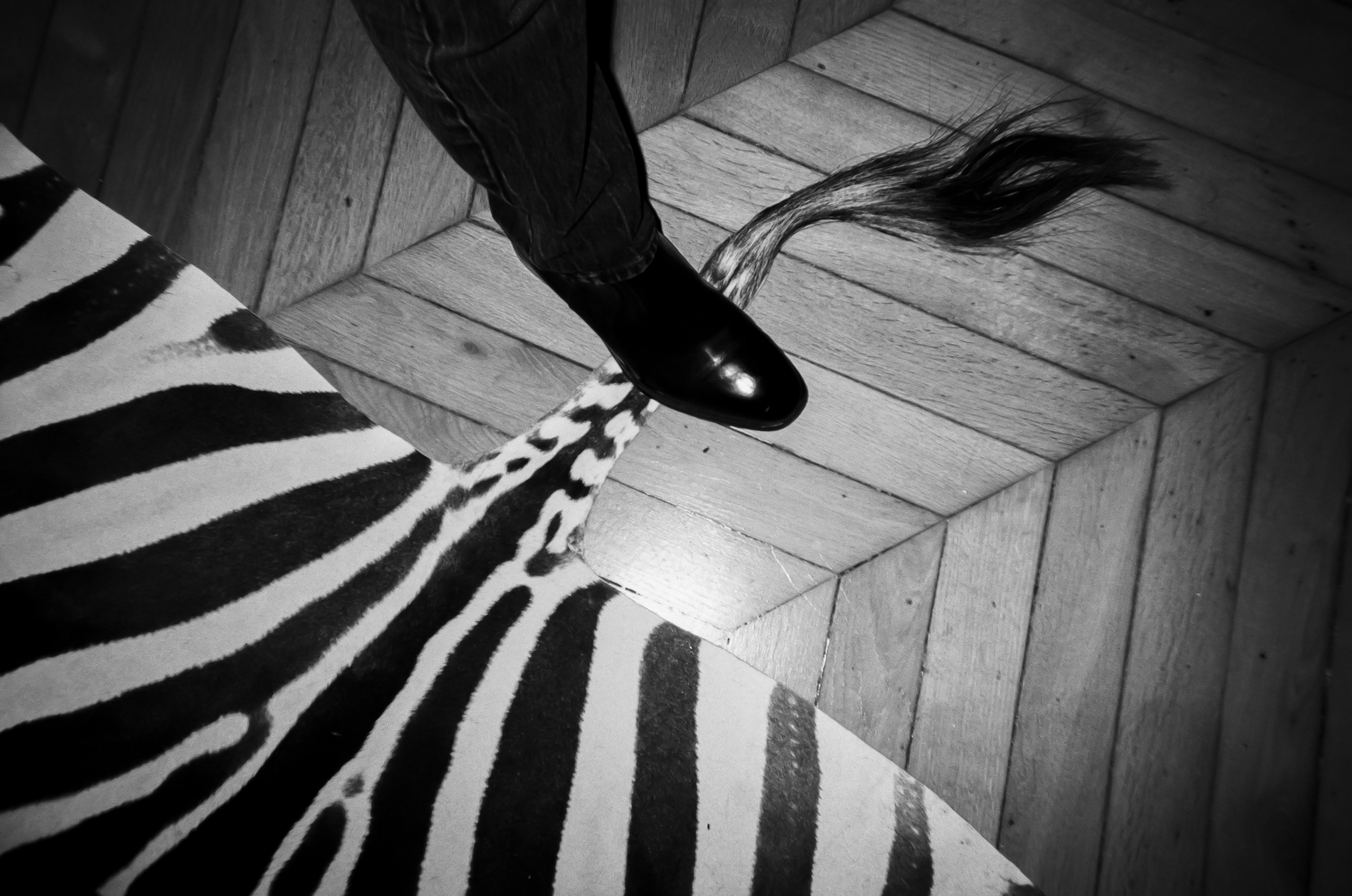 photographe-documentaire-reportage-pied-tapis-zebre-appartement-paris.png