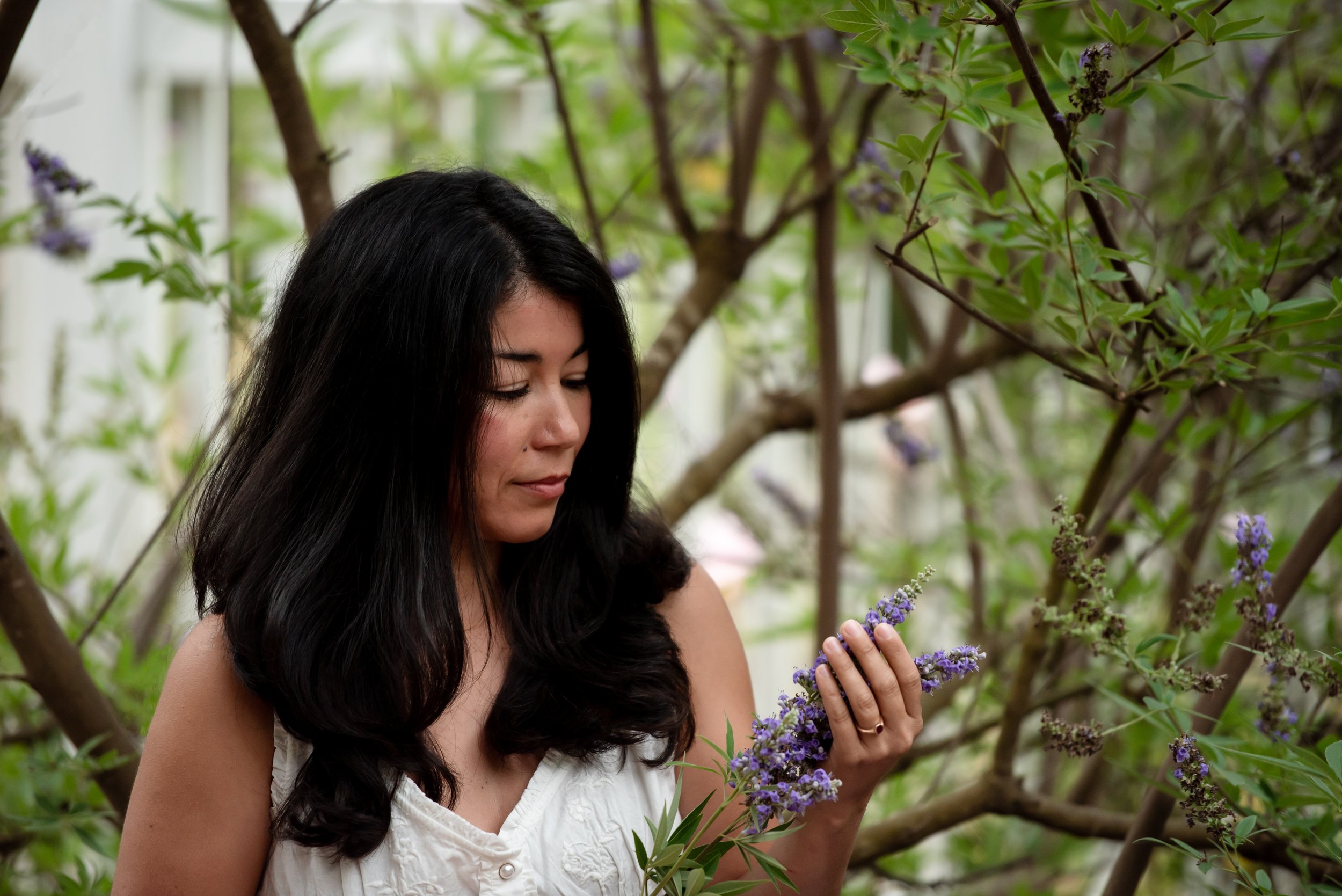 For the Love of Vitex, Chaste Tree and Monk’s Pepper, Part I