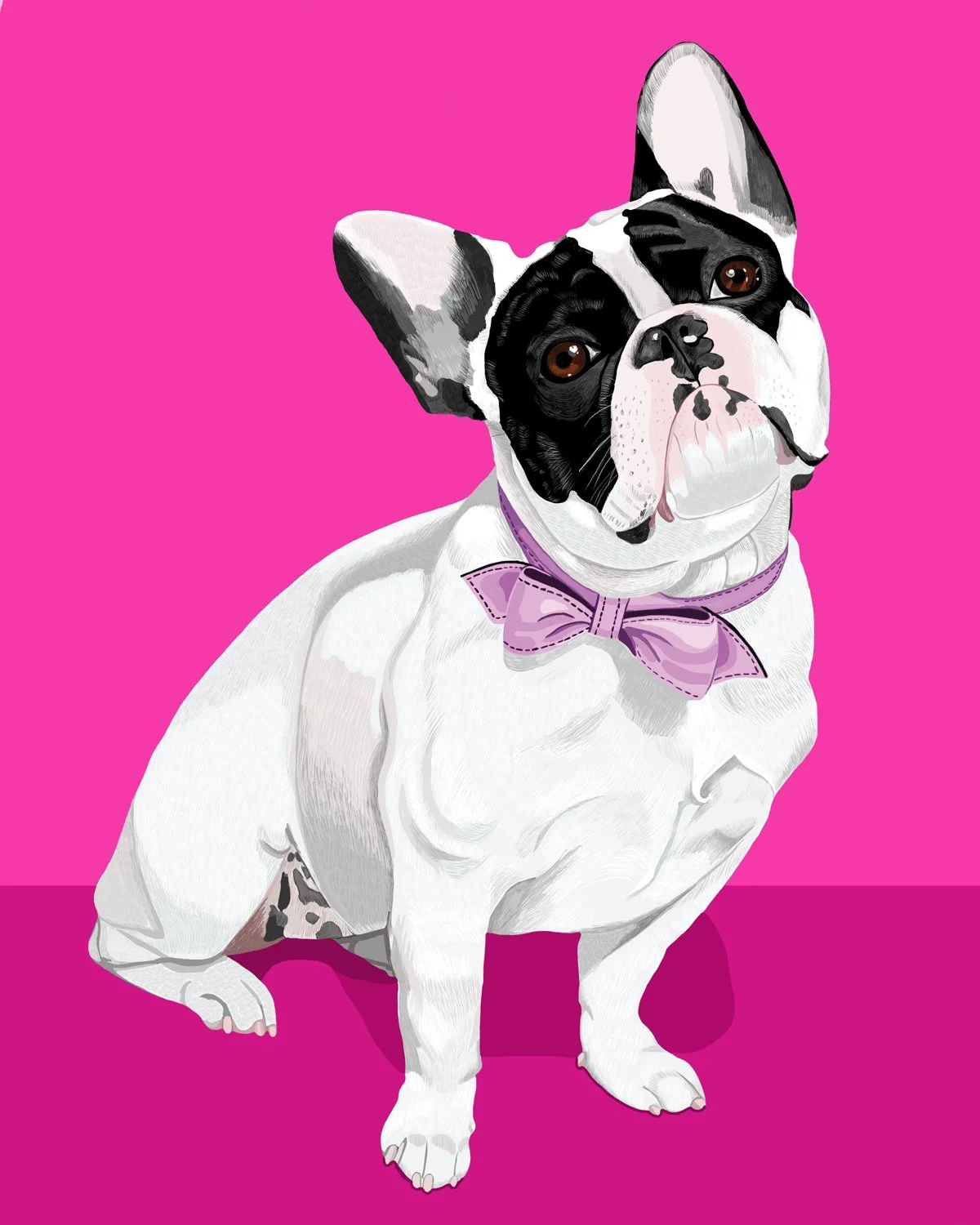 SQSPVioletDOG.jpg