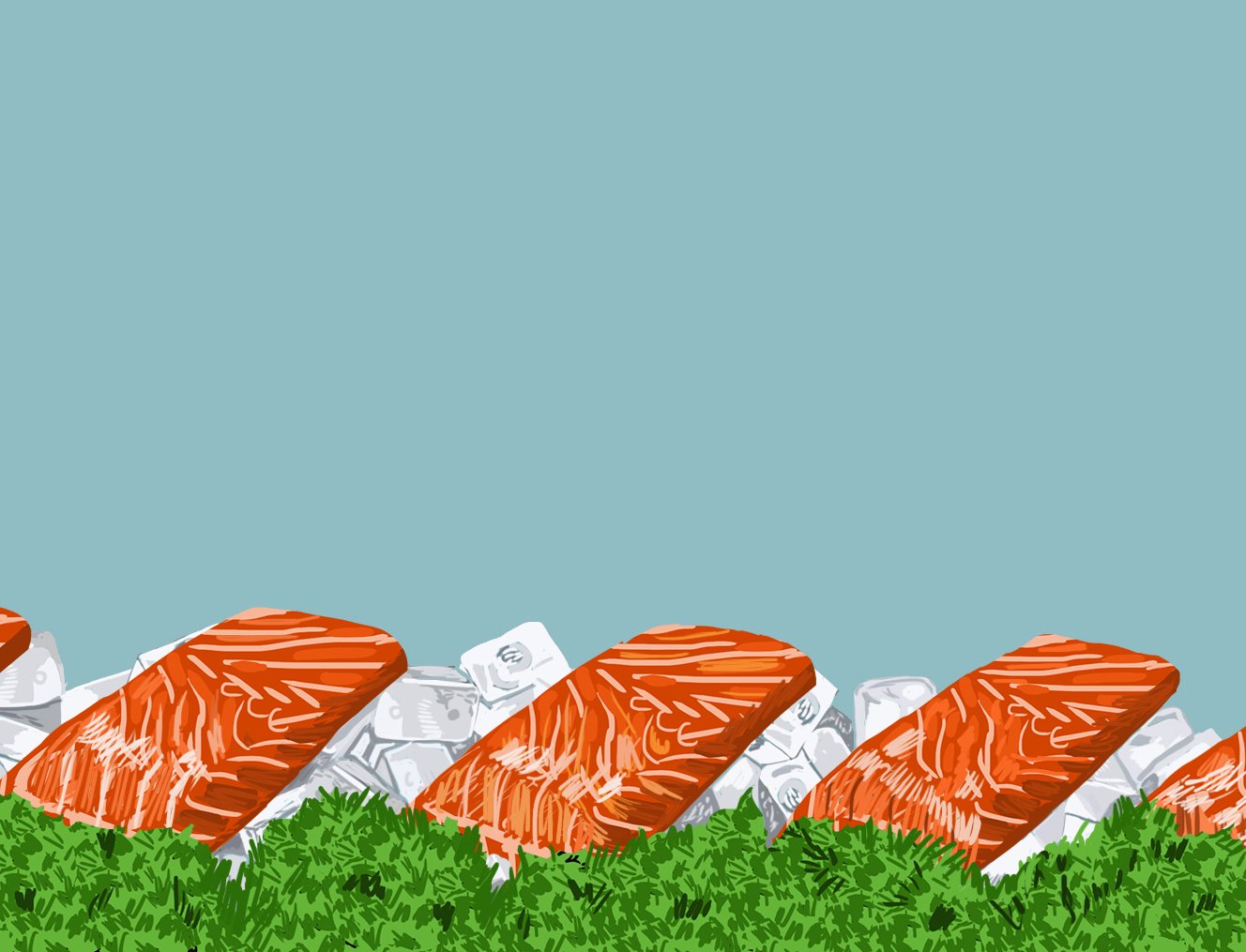 SQSPSALMON.jpg